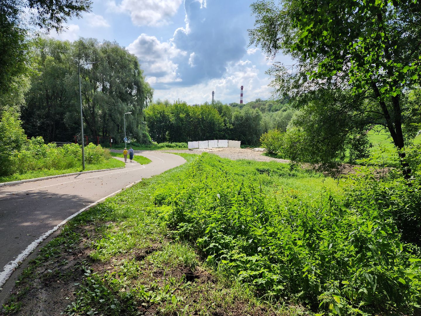 раменское, благоустройство, раменский городской парк, благоустройство северного берега озера борисоглебское ,