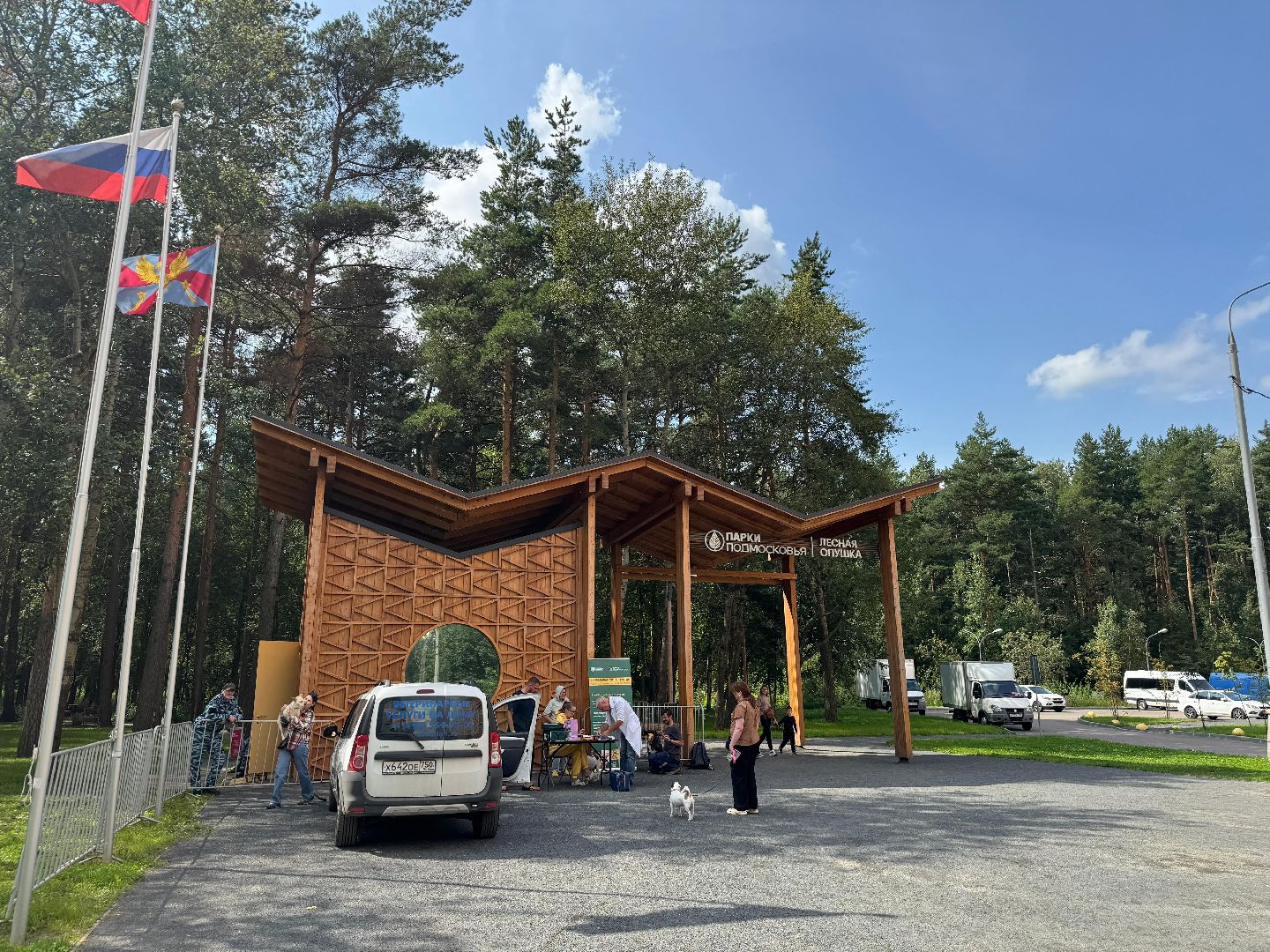 Люберцы, домашние животные, ветеринарная служба, Лесная опушка, Парк,