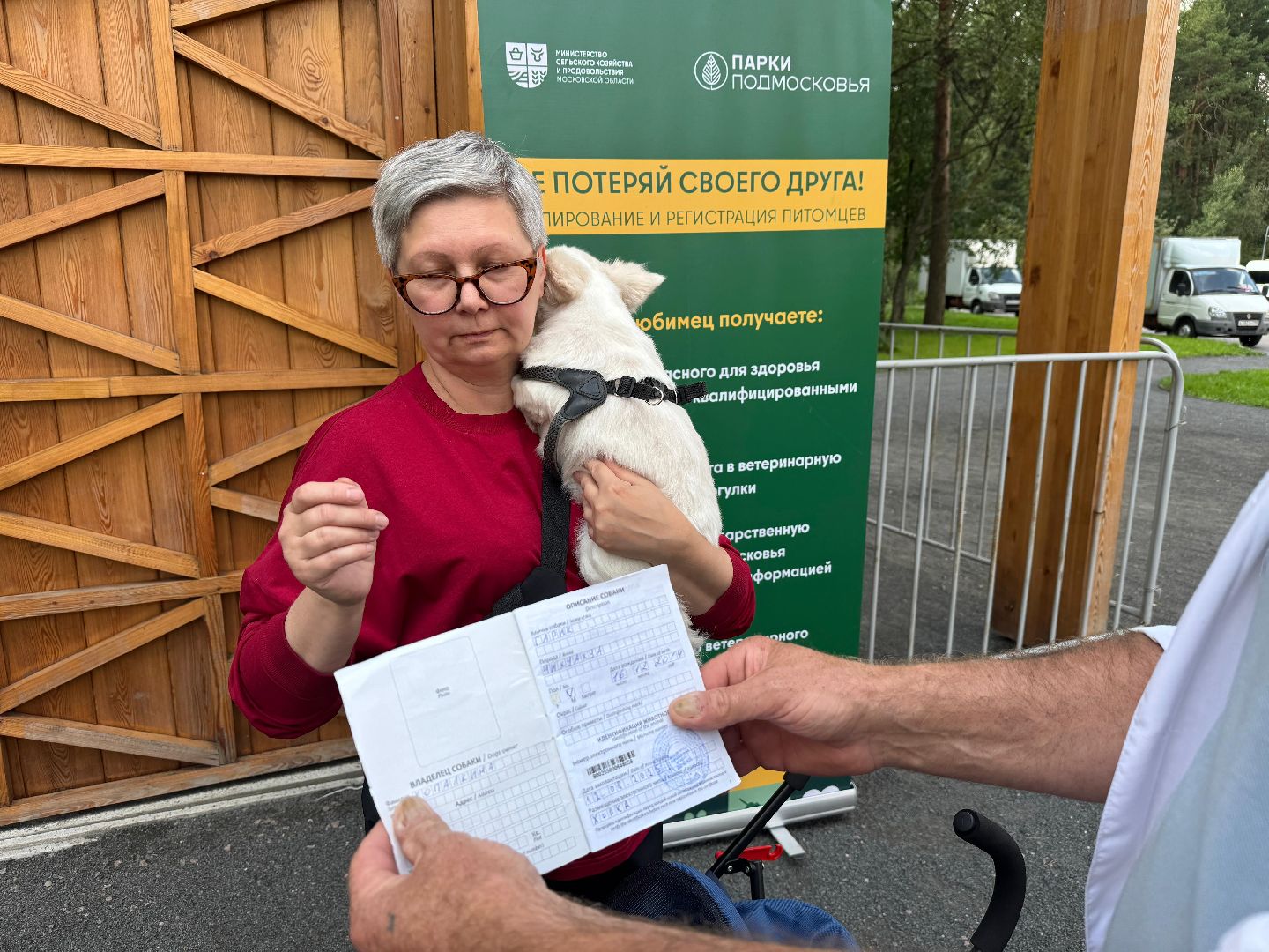 Люберцы, домашние животные, ветеринарная служба, Лесная опушка, Парк,