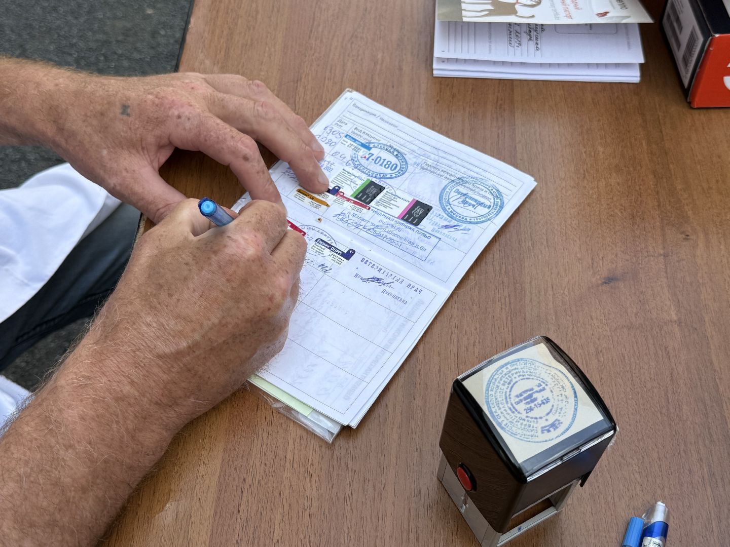 Люберцы, домашние животные, ветеринарная служба, Лесная опушка, Парк,