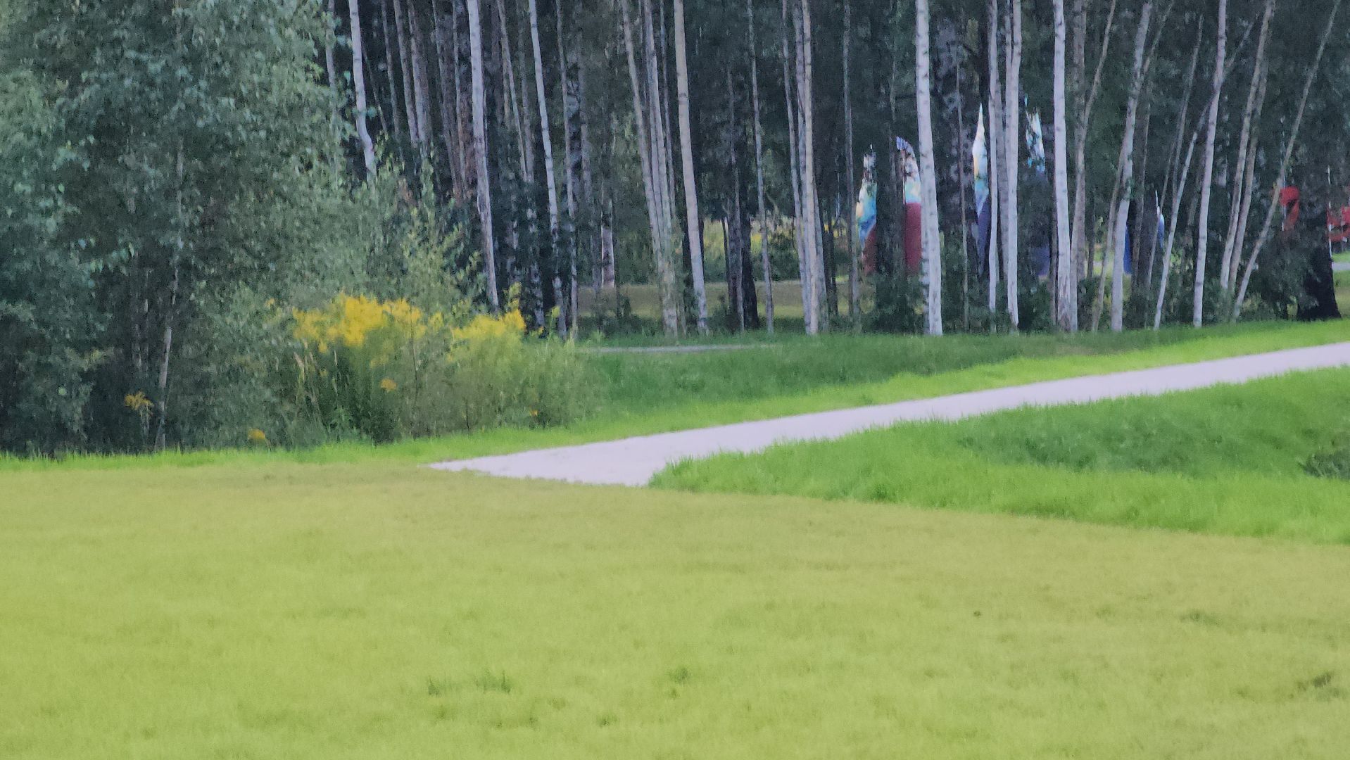 павловский посад, благоустройство , парк,