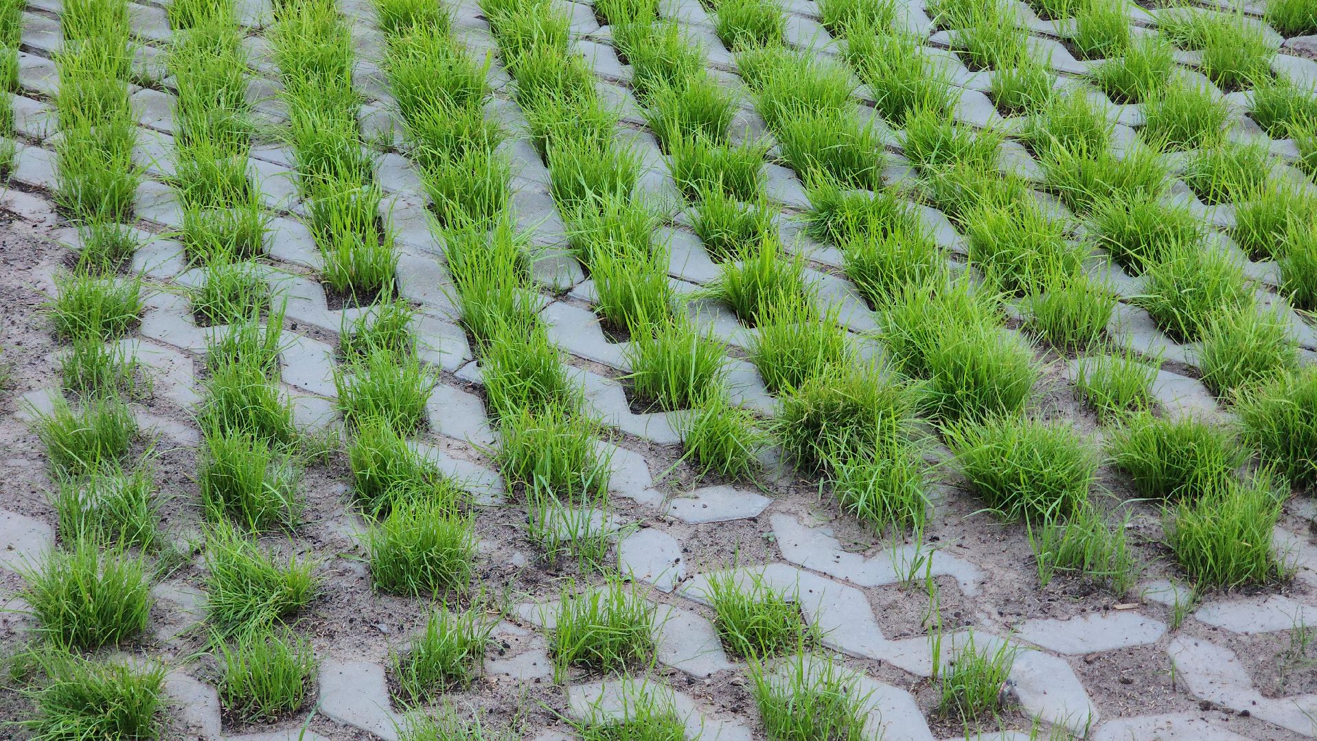 павловский посад, благоустройство , парк,