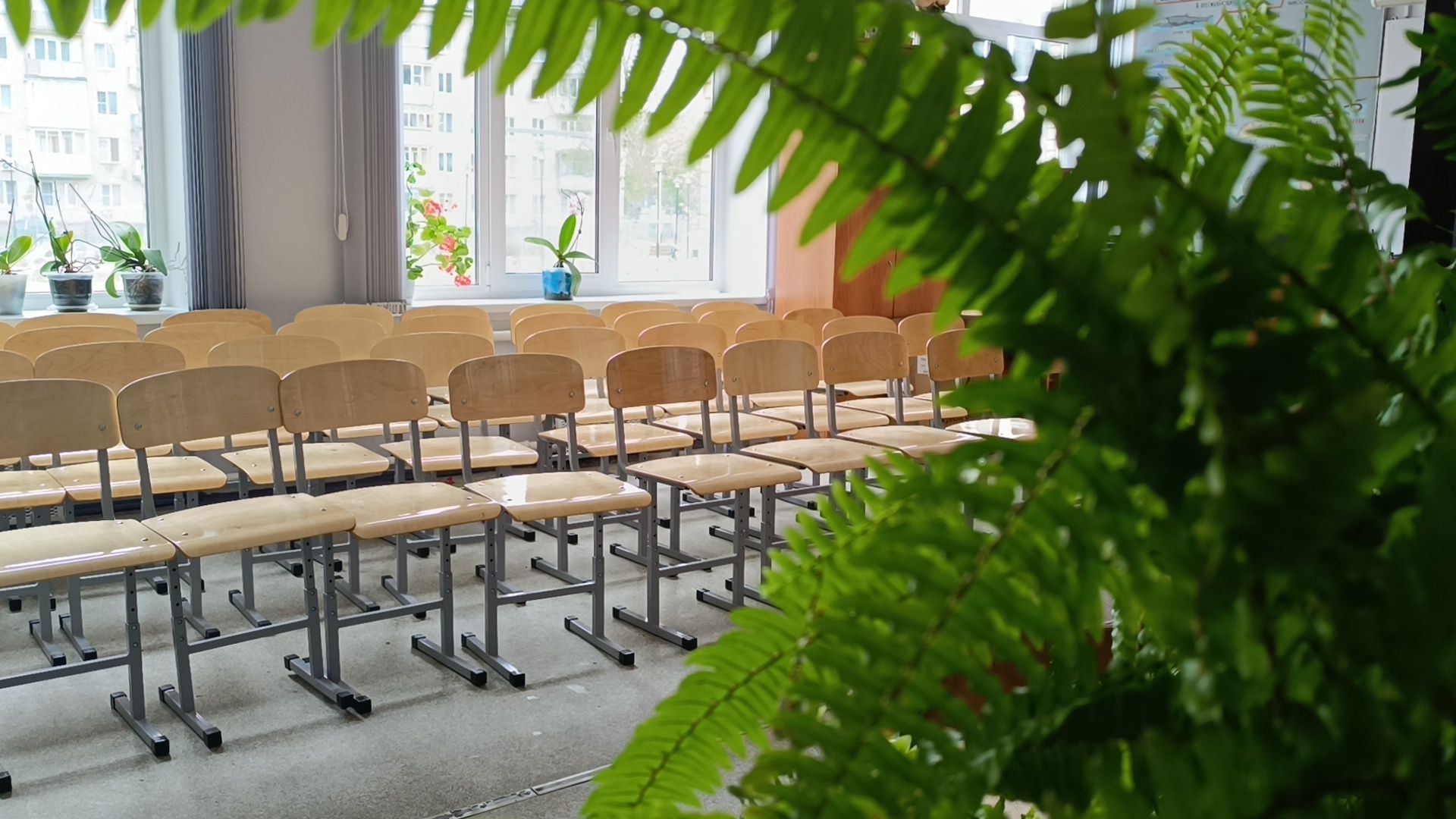 школа, лобня, ремонт,