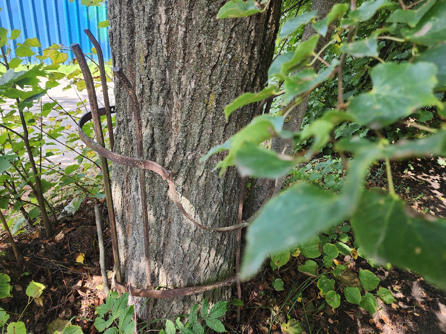 Егорьевск , Подмосковье , Московская область ,туризм,