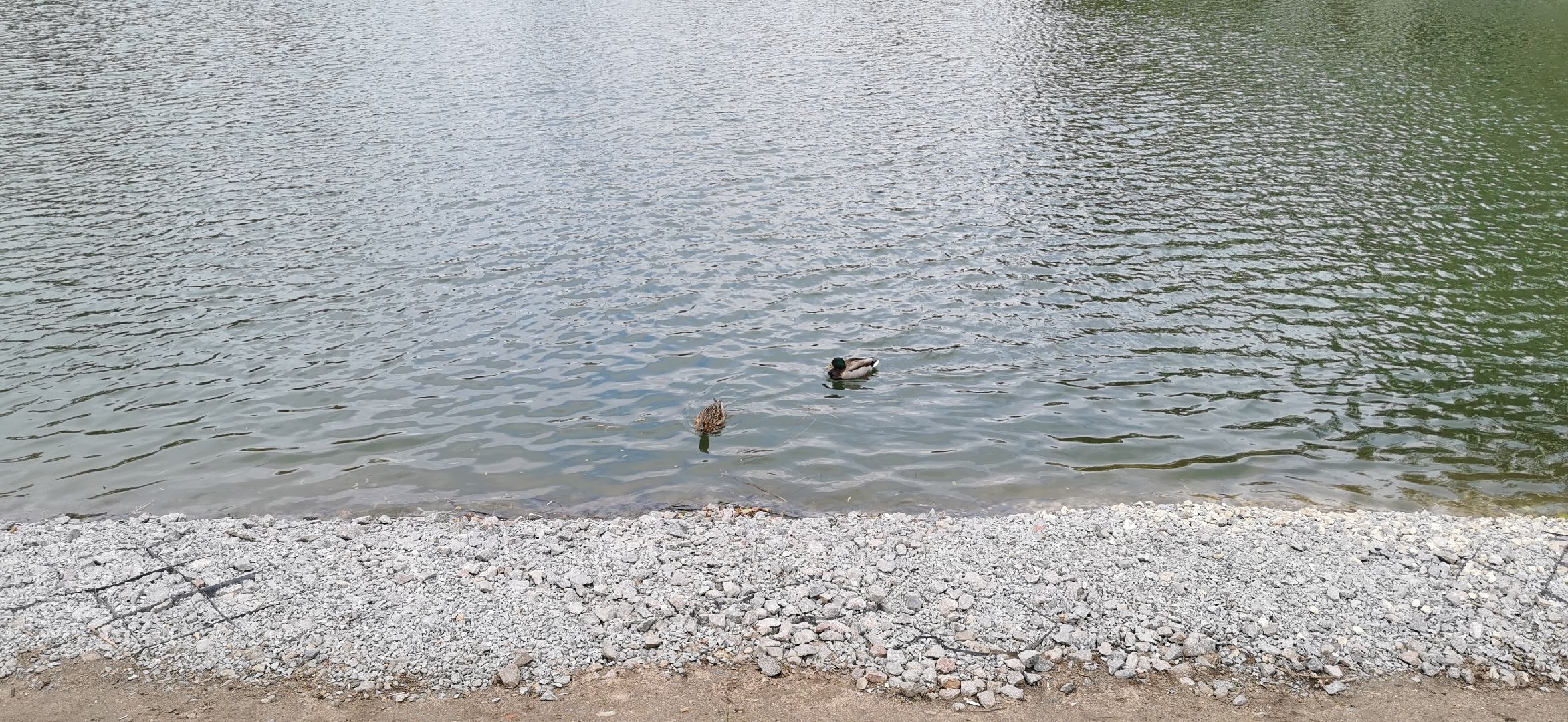 фонтан, благоустройство,