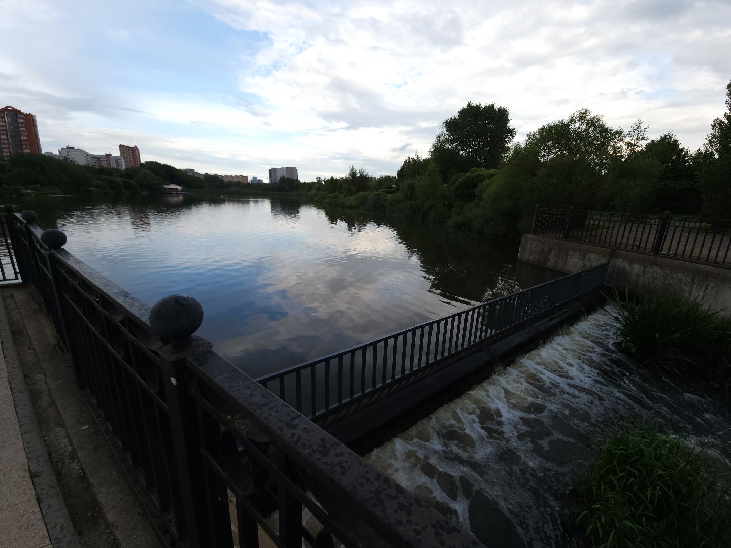 мытищи, лебеди,