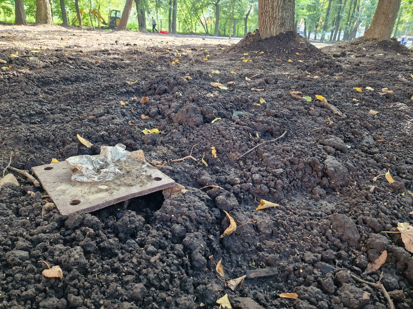 сквер на крупешина в балашихе, балашиха, благоустройство,