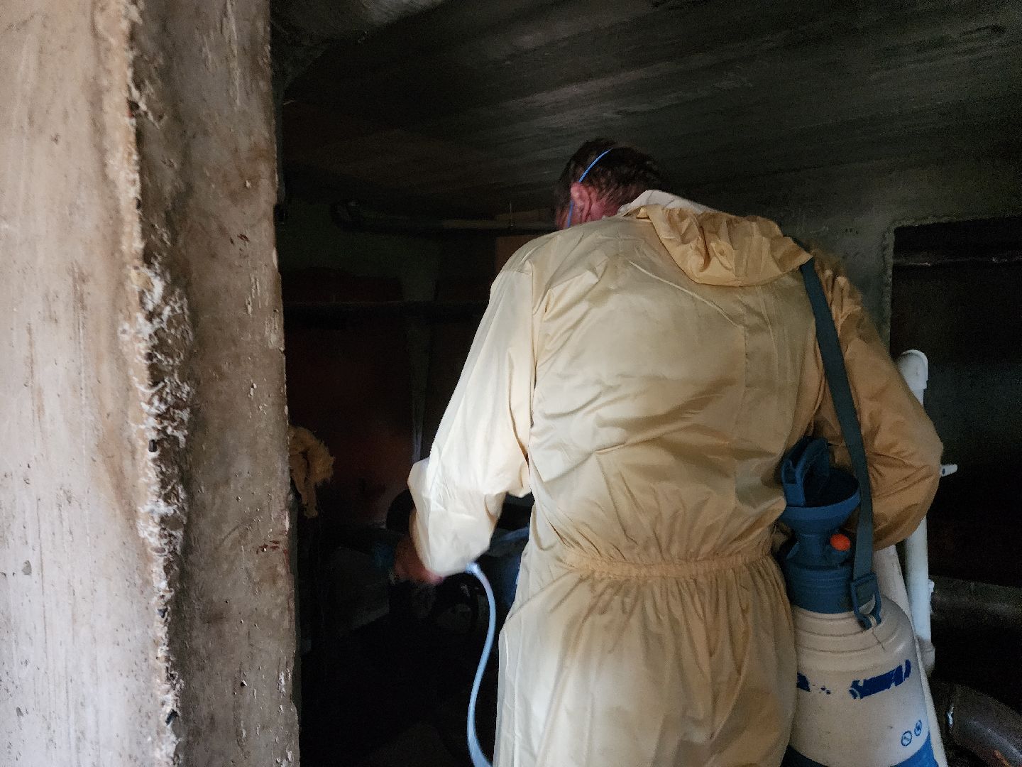 Черноголовка, Дезинсекция, Жкх,