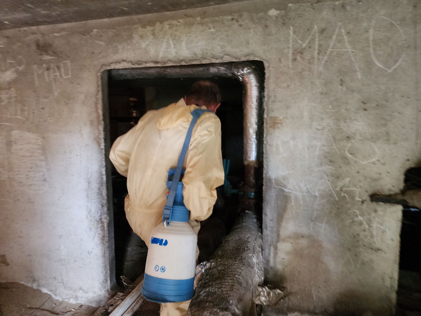 Черноголовка, Дезинсекция, Жкх,