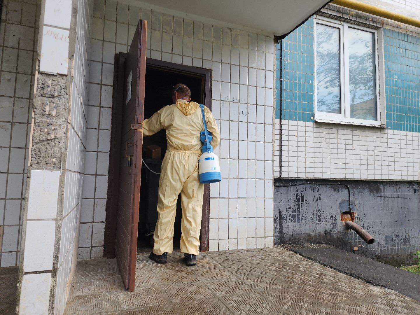 Черноголовка, Дезинсекция, Жкх,