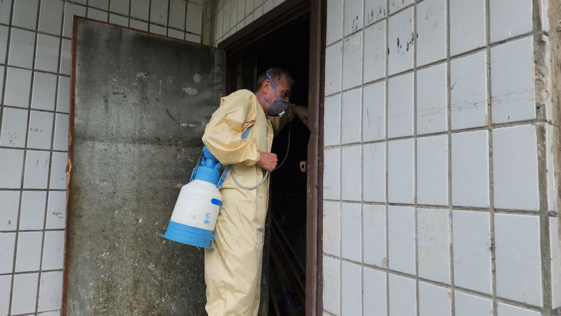 Черноголовка, Дезинсекция, Жкх,