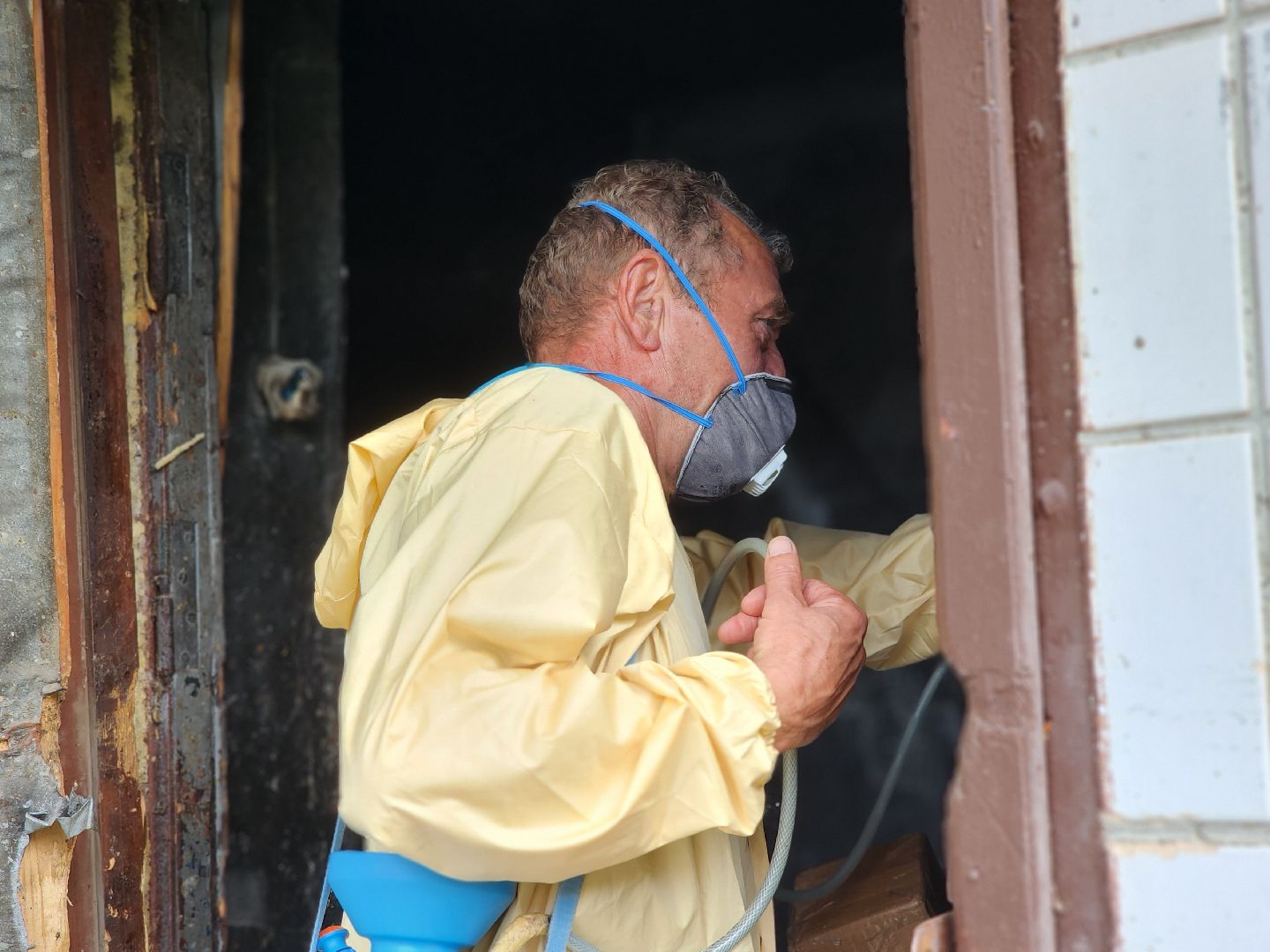 Черноголовка, Дезинсекция, Жкх,