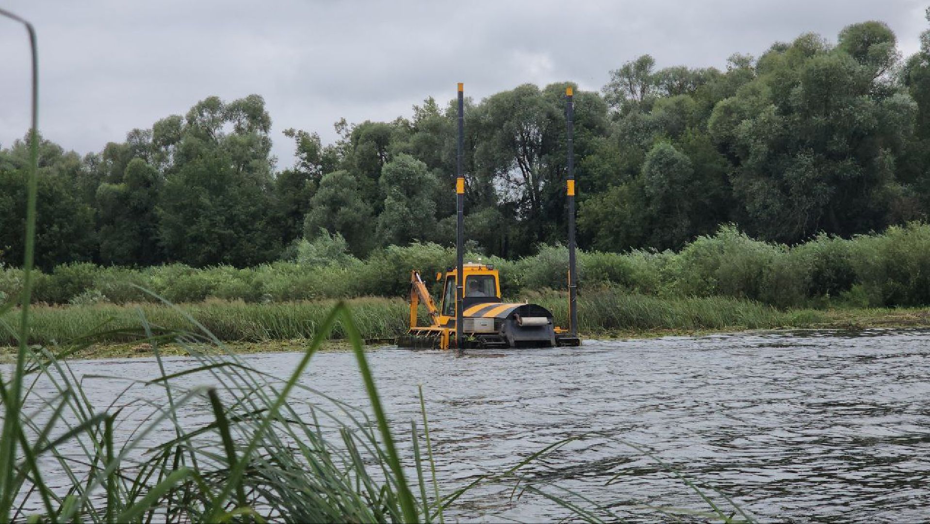 луховицы, благоустройство, озеро исток, белоомут,