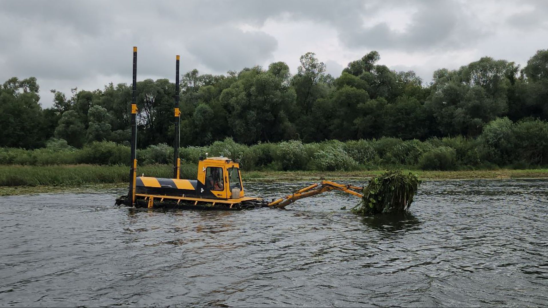луховицы, благоустройство, озеро исток, белоомут,