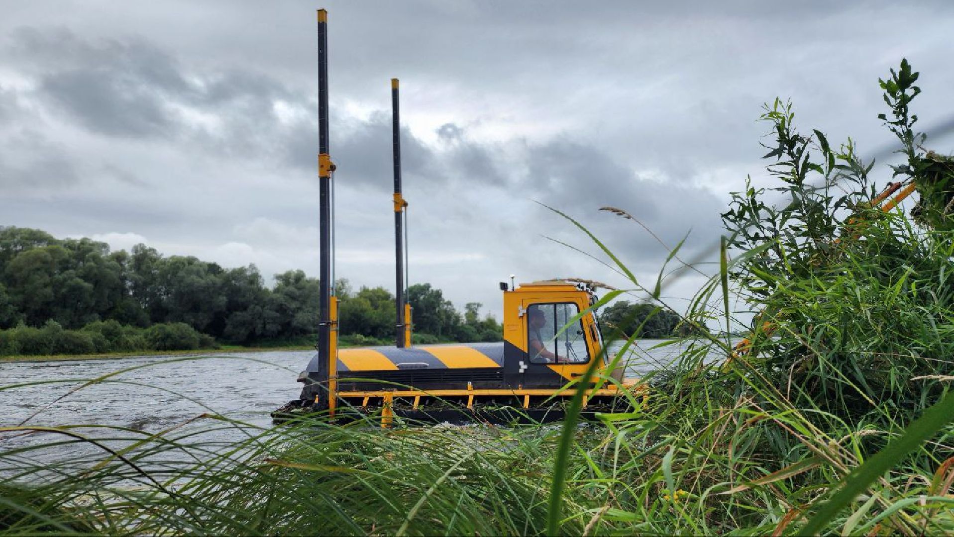 луховицы, благоустройство, озеро исток, белоомут,