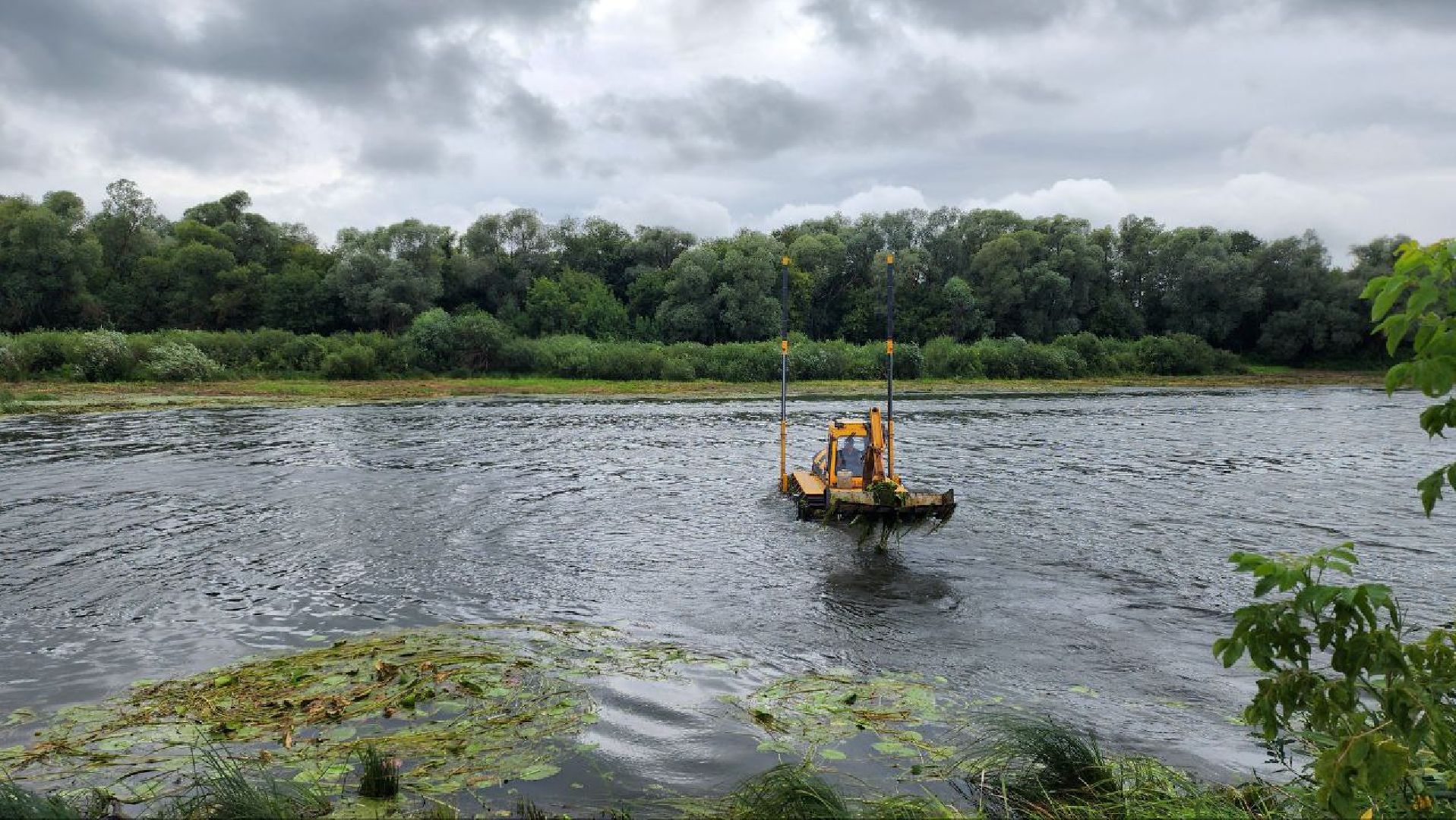 луховицы, благоустройство, озеро исток, белоомут,