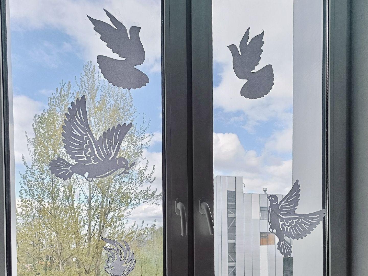 День Победы, город, Фрязино, флаги