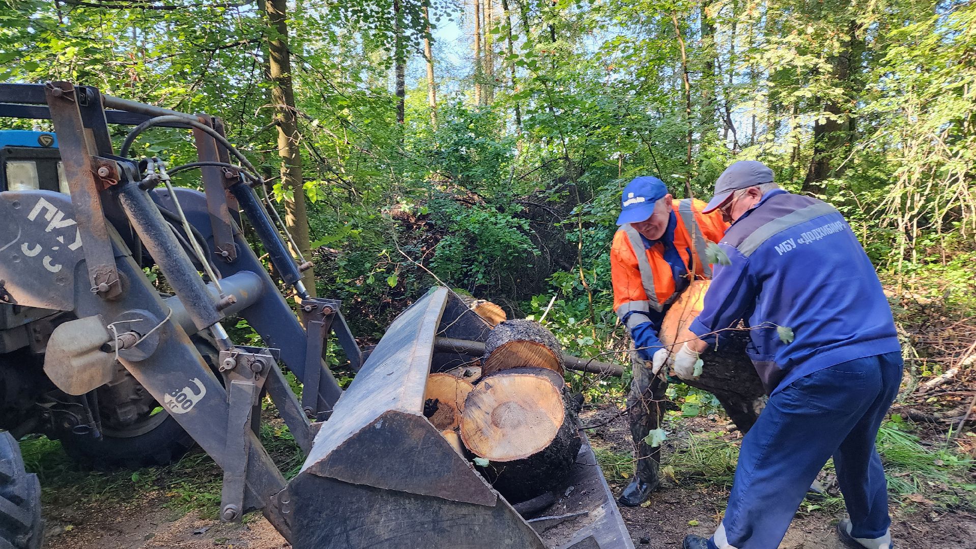 истра, благоустройство,