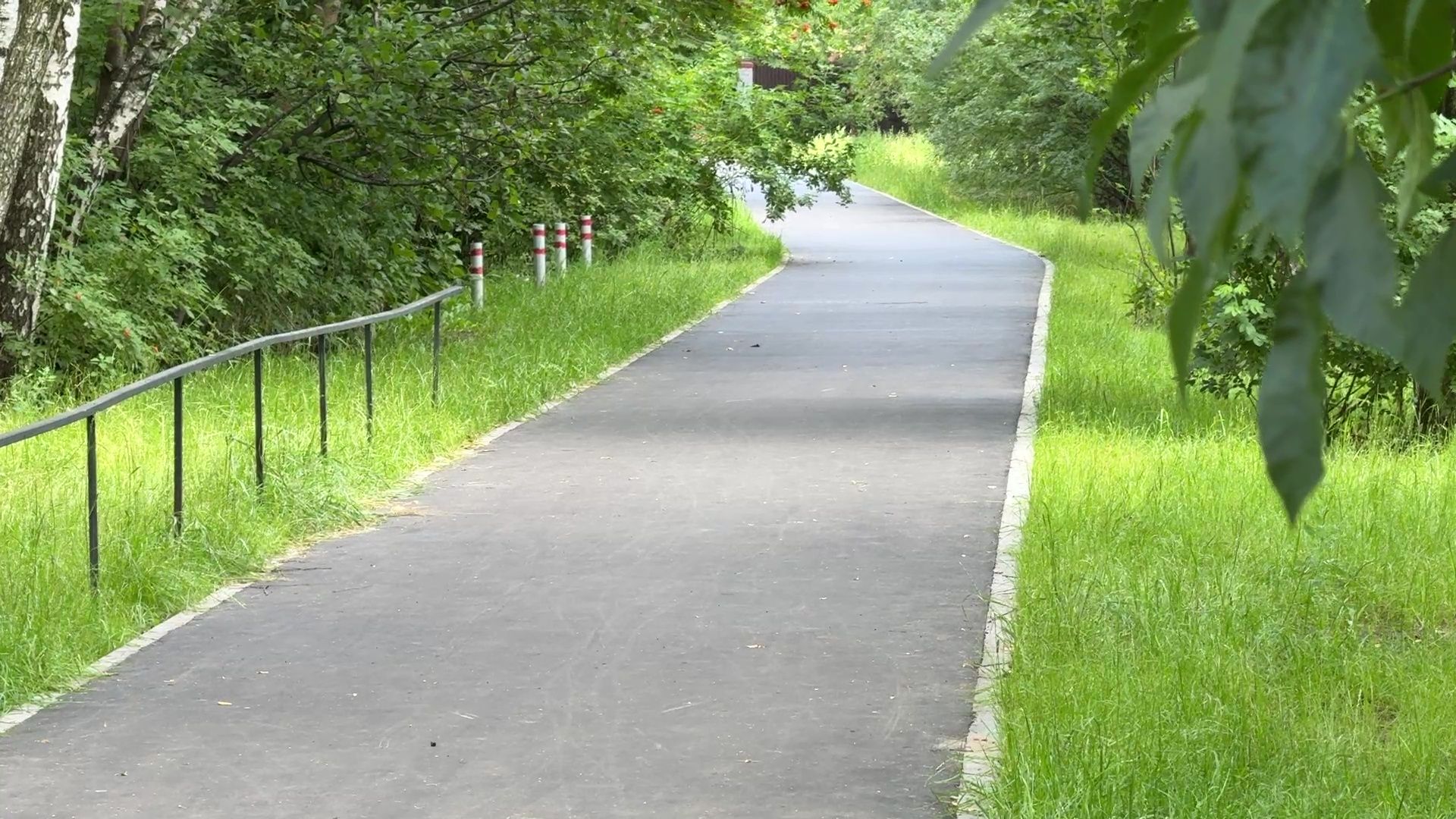 Реутов, народные тропы, программа пешком, дорожки, тротуары, асфальт,