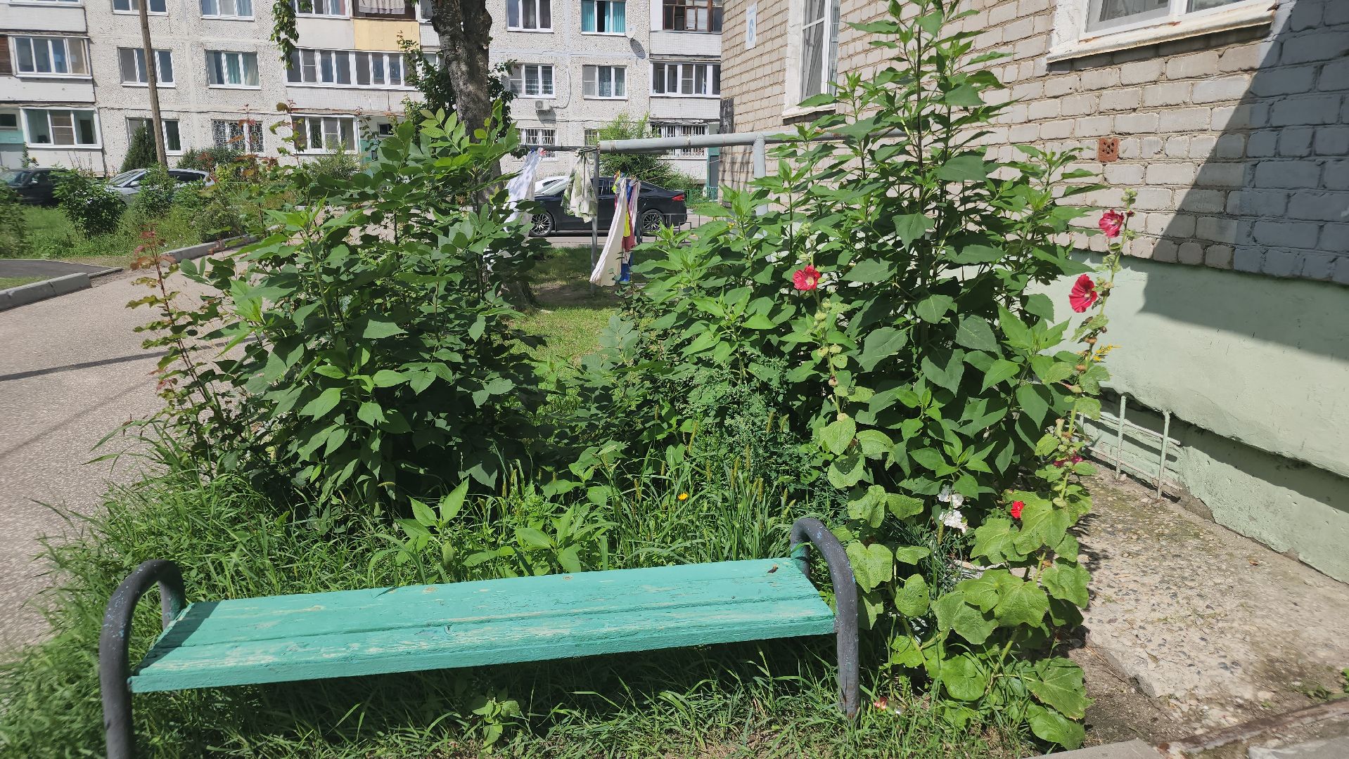 благоустройство дворов, новая детская площадка, давыдово, орехово-зуевский округ,