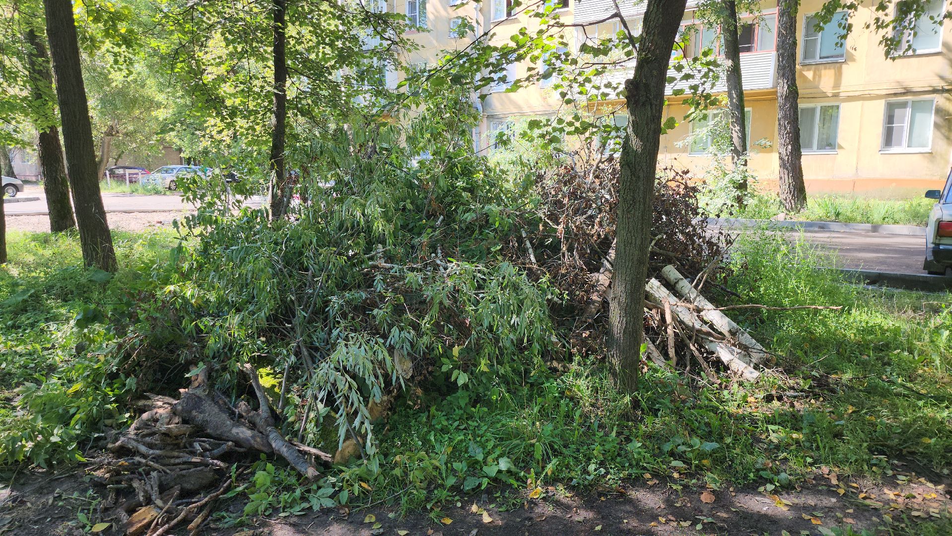 серпухов, подмосковье, благоустройство двора, большевик, улица ленина,