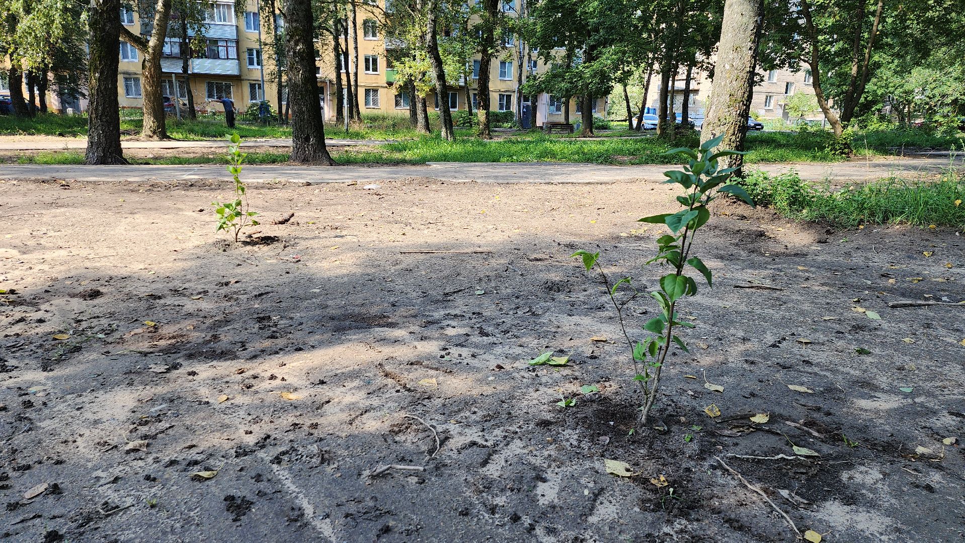 серпухов, подмосковье, благоустройство двора, большевик, улица ленина,