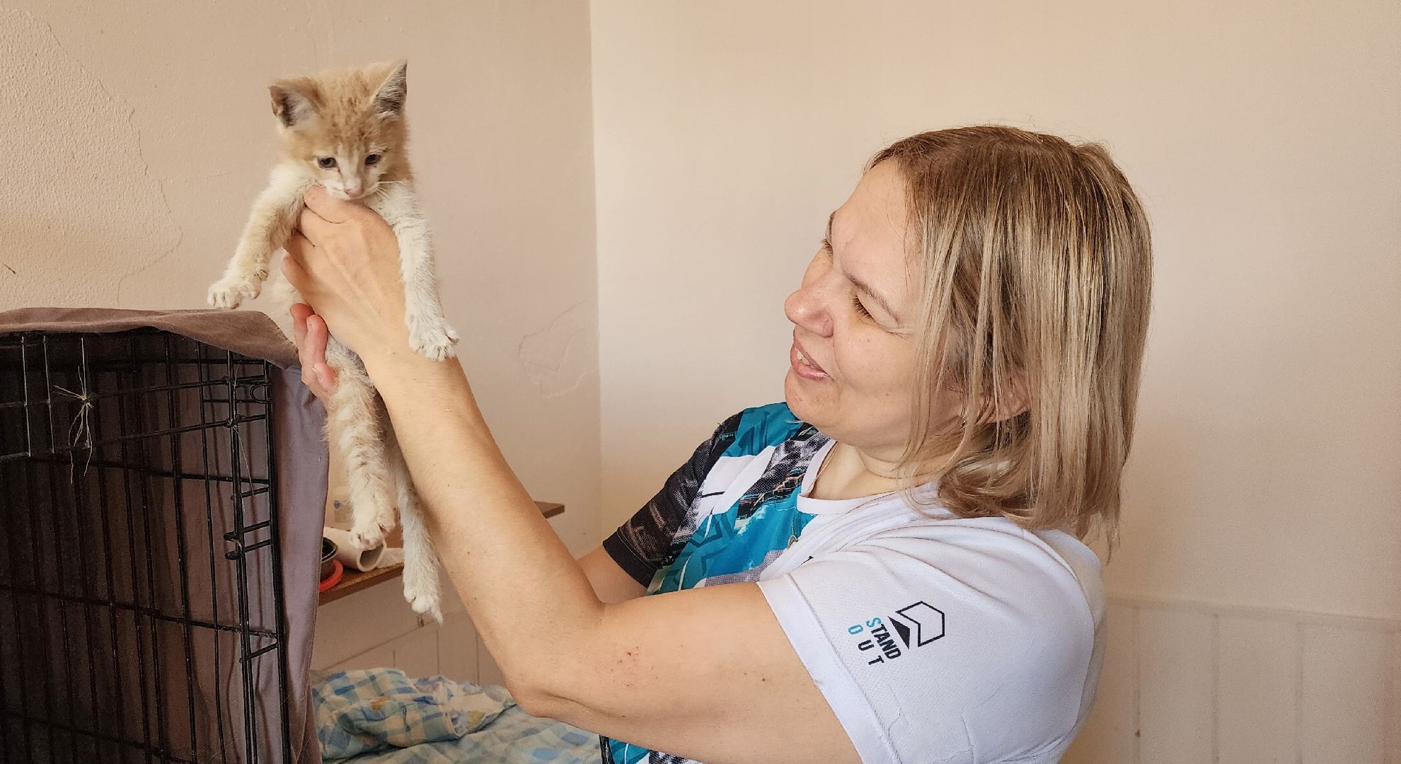 Химки,  бездомные животные, Кошки, Благотворительность, Волонтеры ,