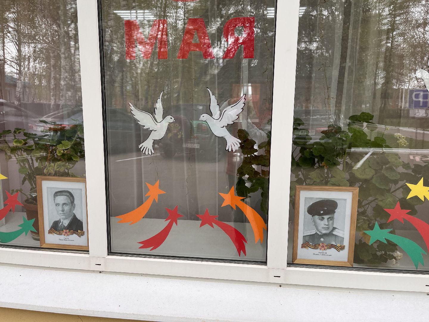 Шаховская, окна победы, 9 мая