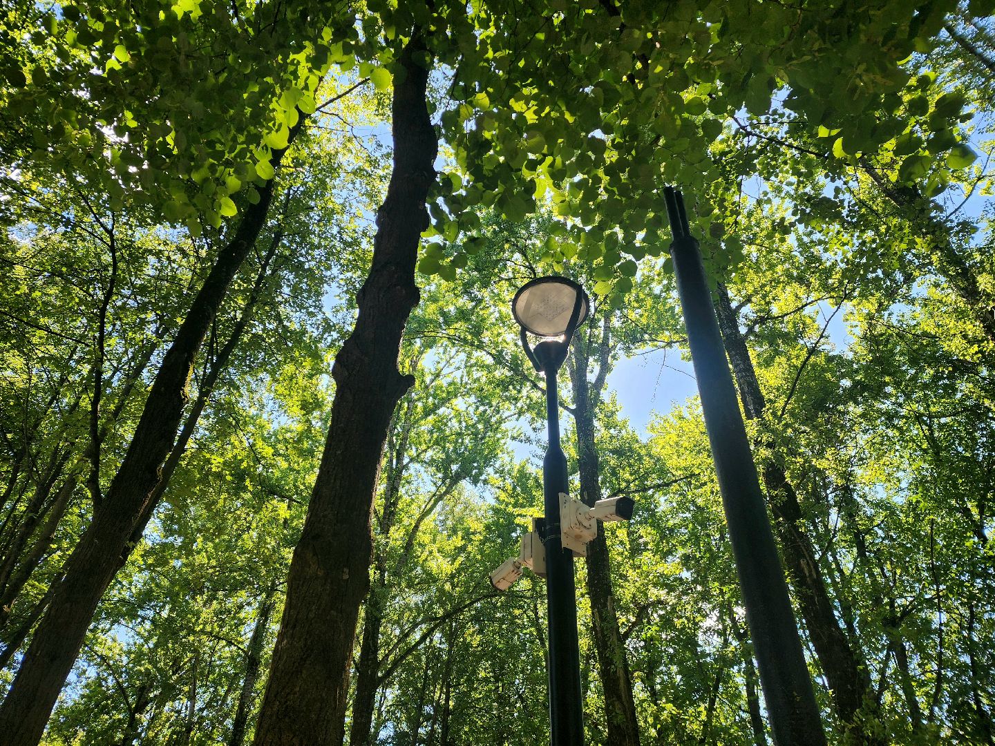 пущино, серпухов, благоустройсво,