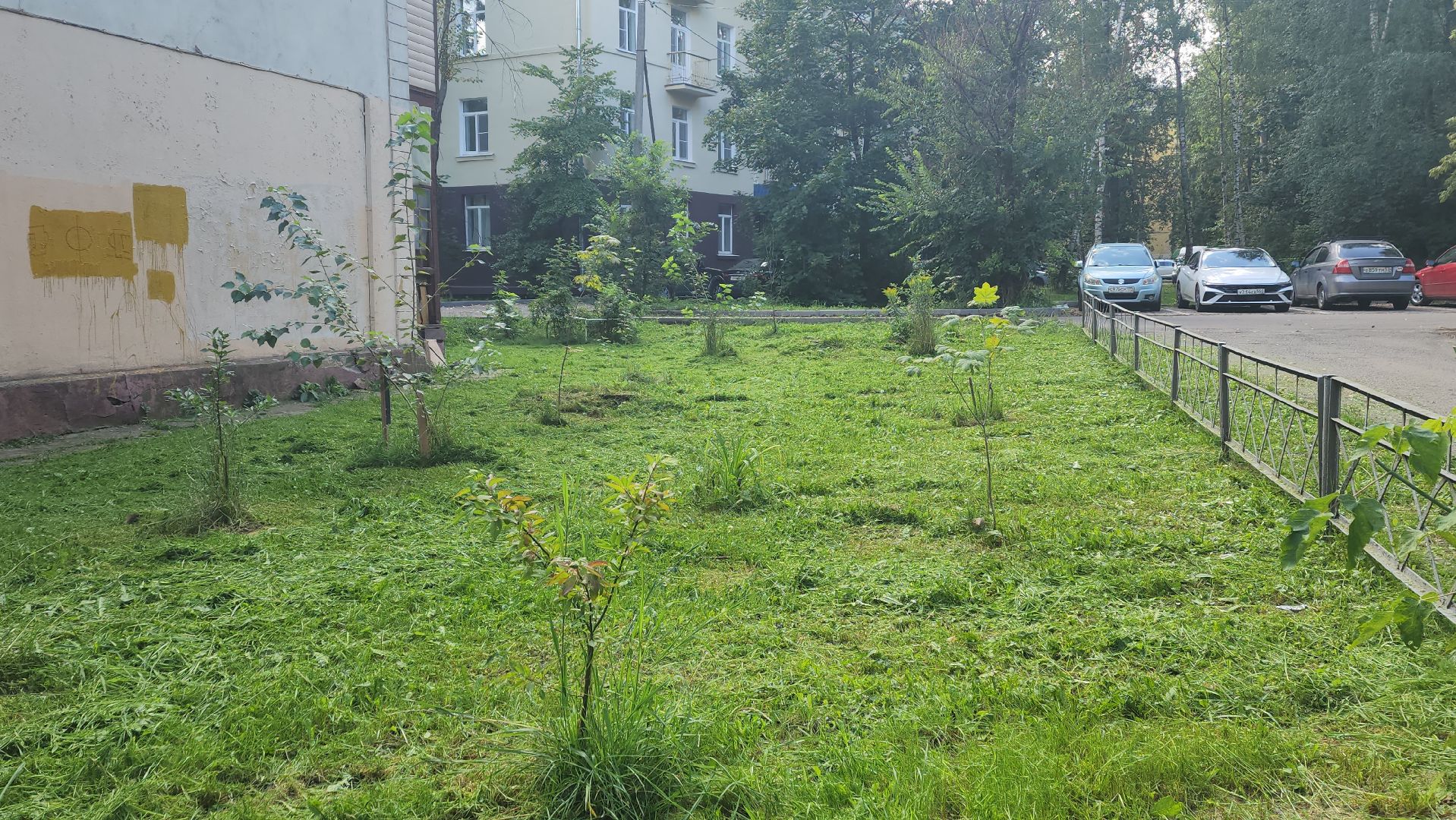 вертикалки, пушкино, благоустройство, покос травы, уборка мусора, обрезка кустарника,дворы,уход за растениями,