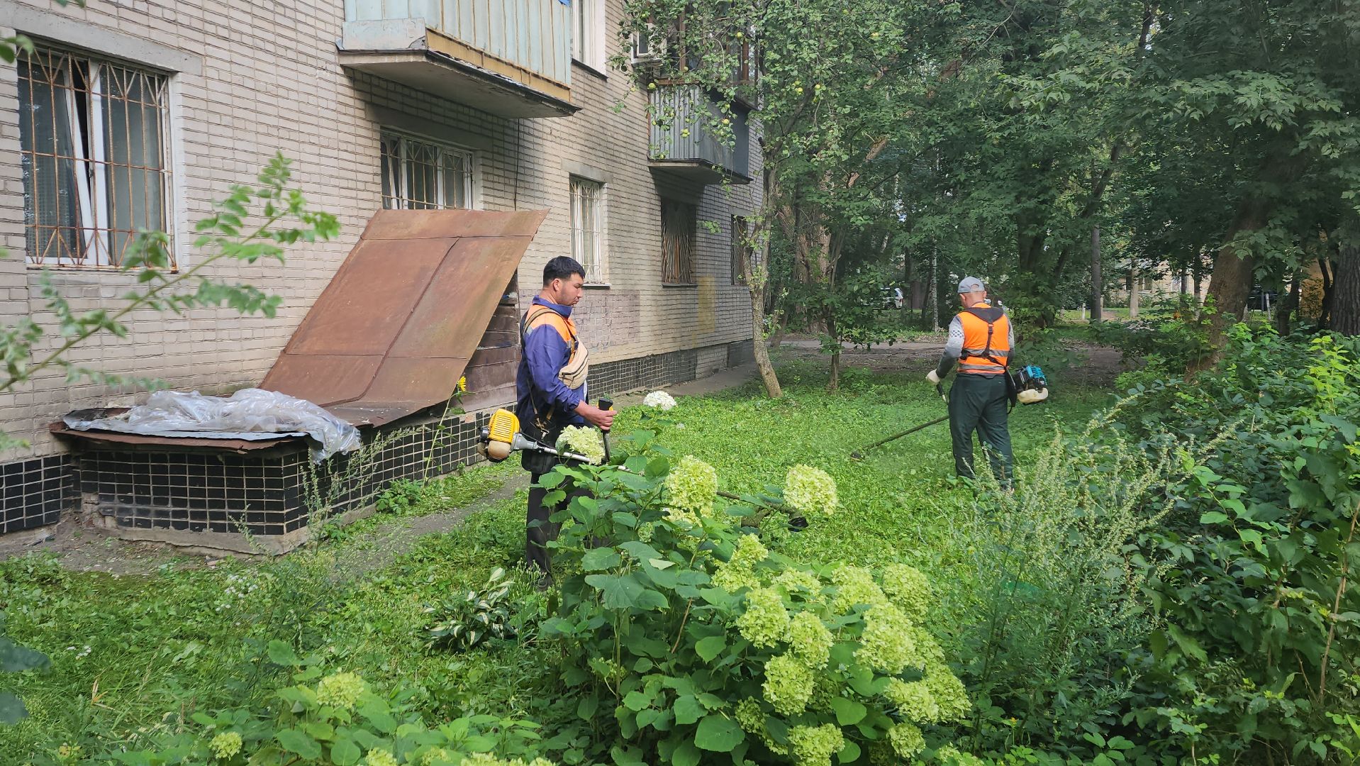 вертикалки, пушкино, благоустройство, покос травы, уборка мусора, обрезка кустарника,дворы,уход за растениями,