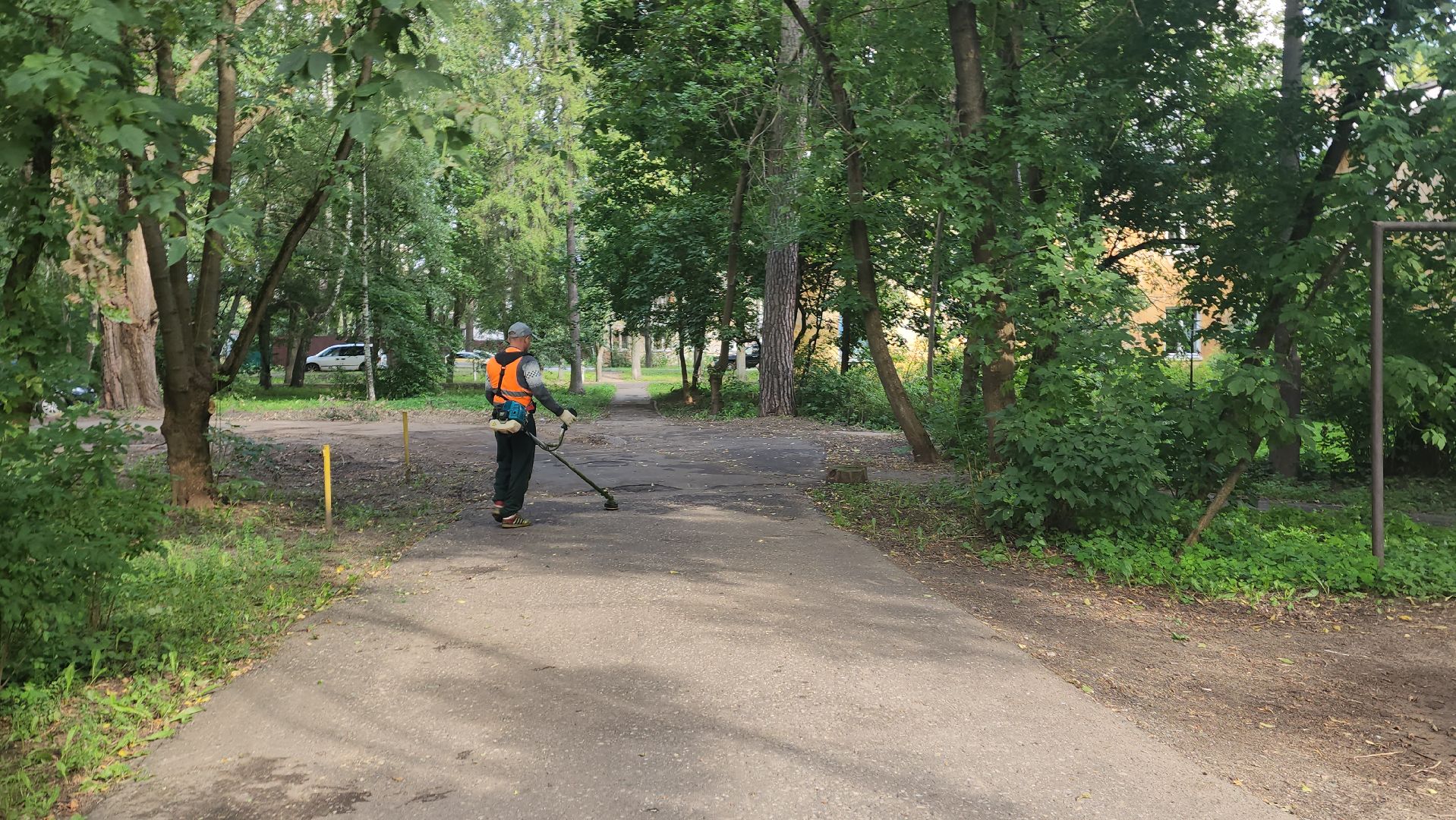 вертикалки, пушкино, благоустройство, покос травы, уборка мусора, обрезка кустарника,дворы,уход за растениями,