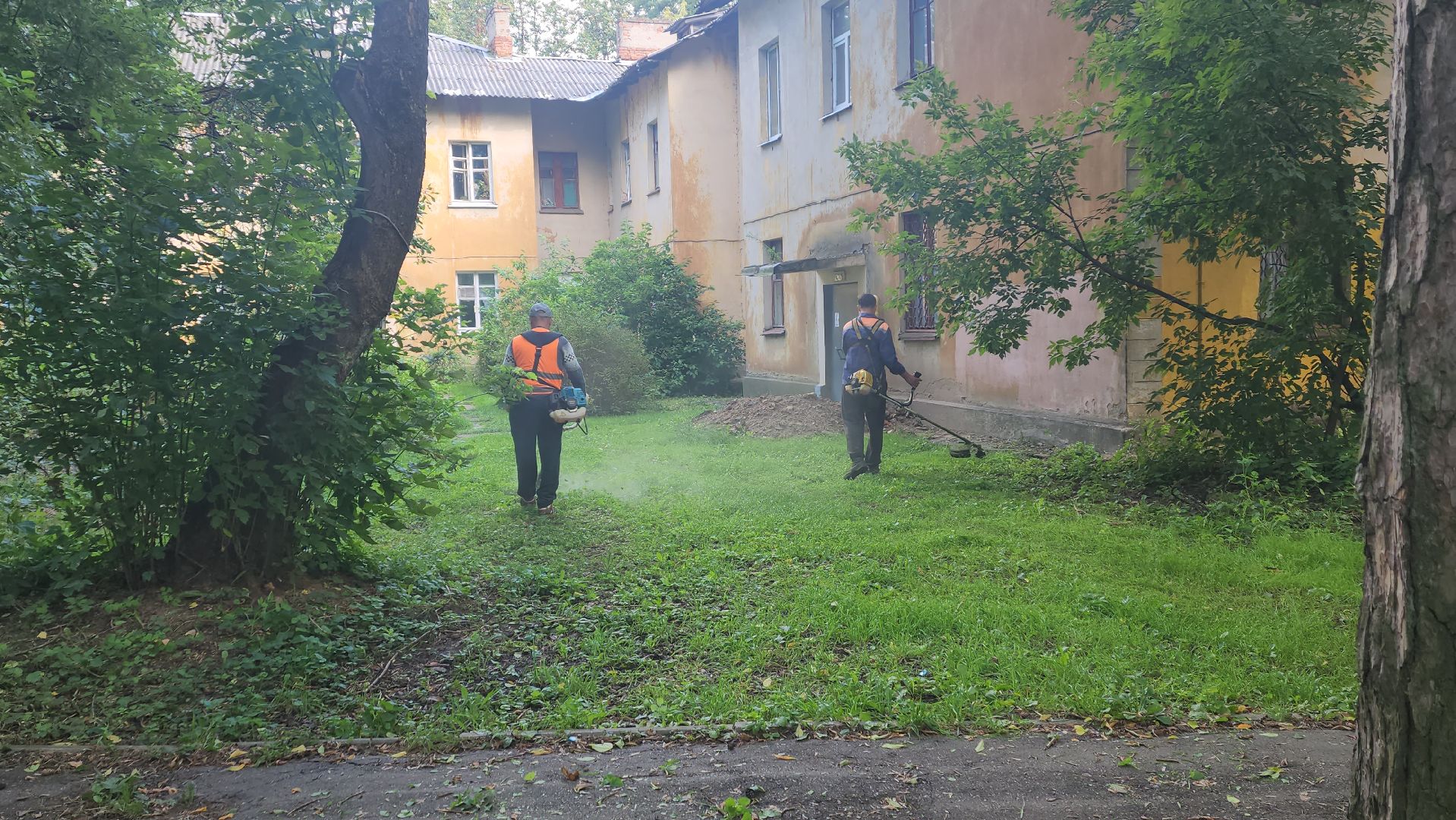 вертикалки, пушкино, благоустройство, покос травы, уборка мусора, обрезка кустарника,дворы,уход за растениями,