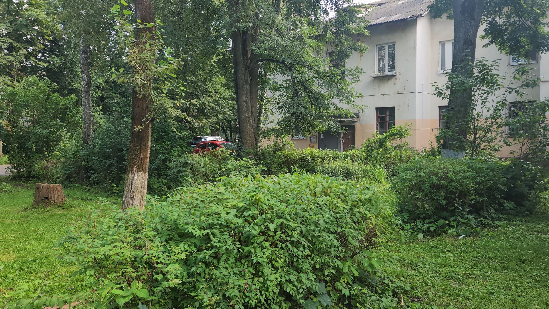 вертикалки, пушкино, благоустройство, покос травы, уборка мусора, обрезка кустарника,дворы,уход за растениями,