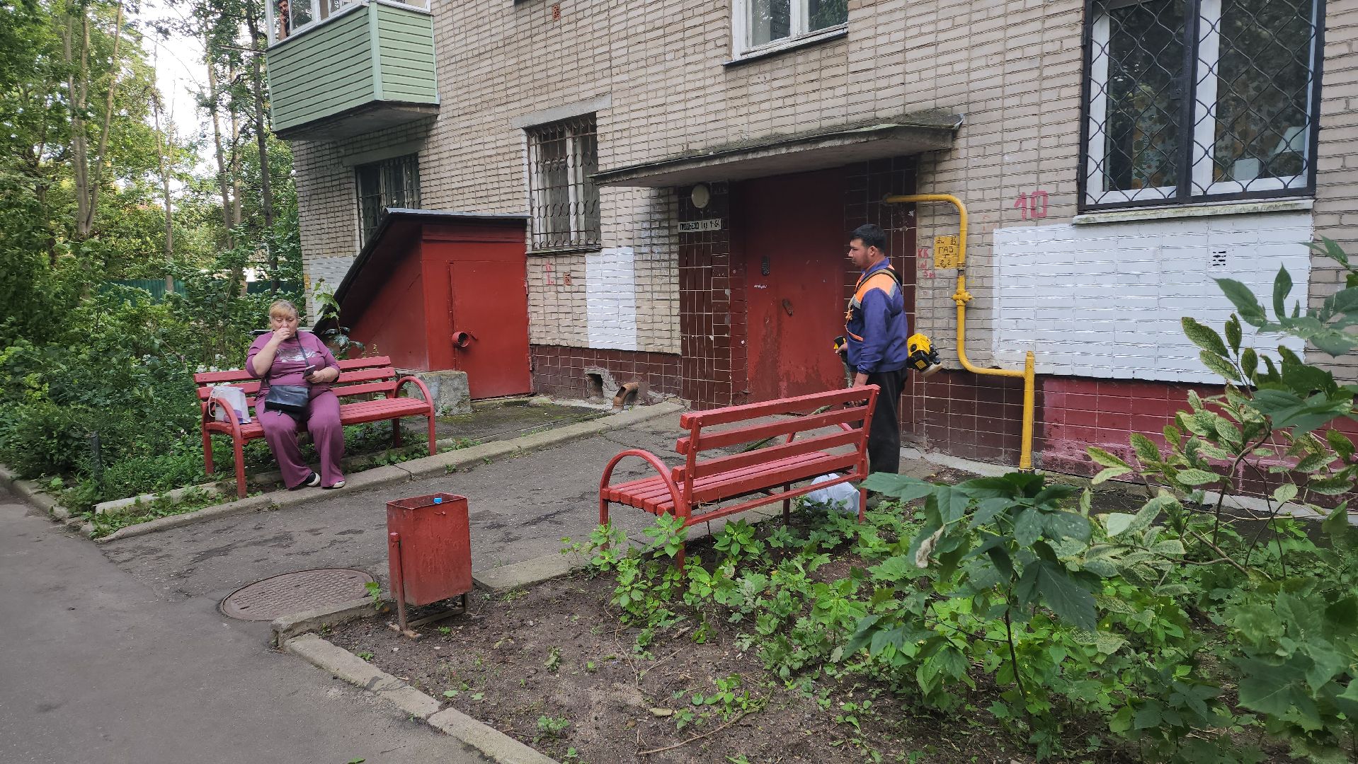 вертикалки, пушкино, благоустройство, покос травы, уборка мусора, обрезка кустарника,дворы,уход за растениями,