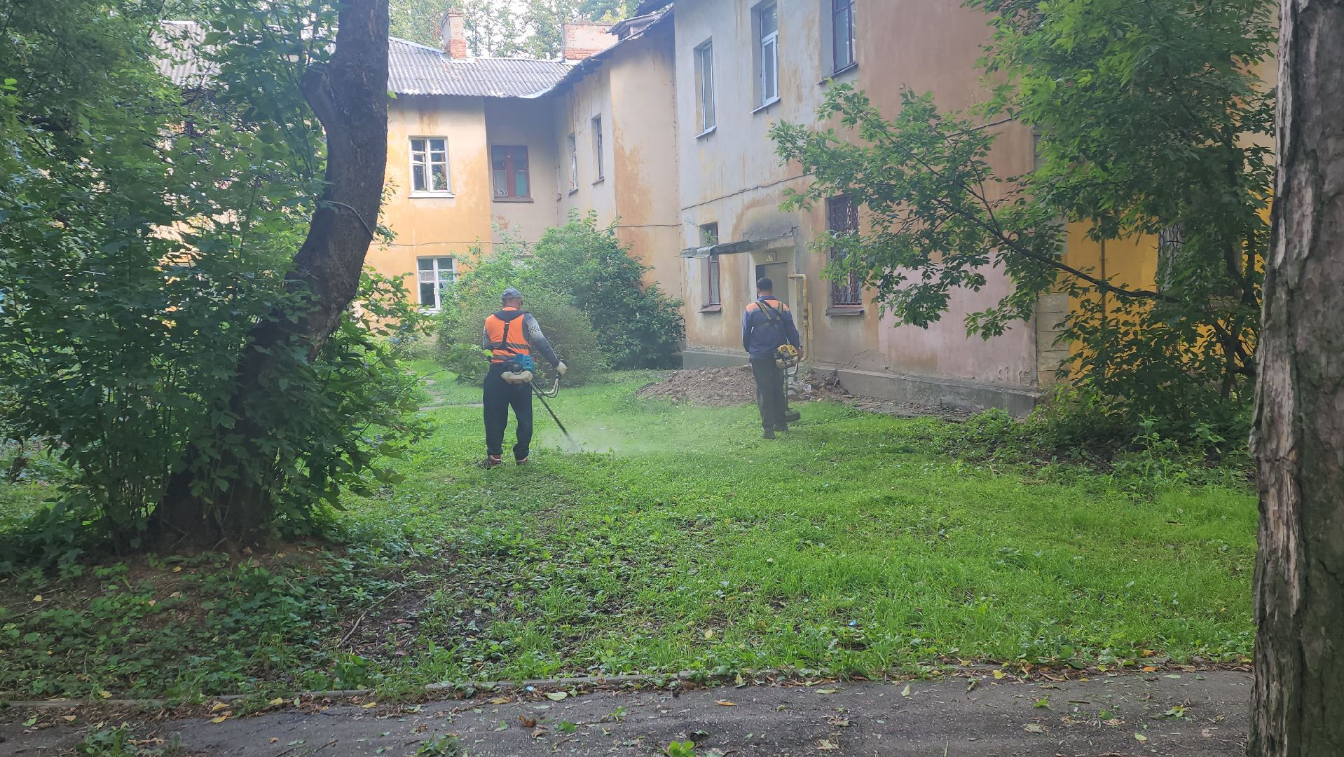 вертикалки, пушкино, благоустройство, покос травы, уборка мусора, обрезка кустарника,дворы,уход за растениями,