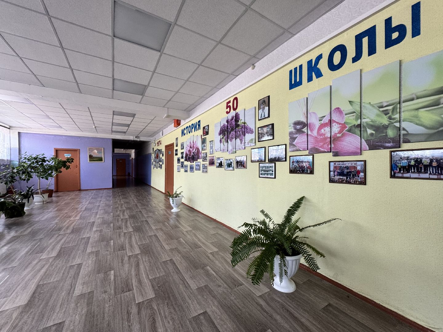 шаховская, подготовка школы к учебному году,