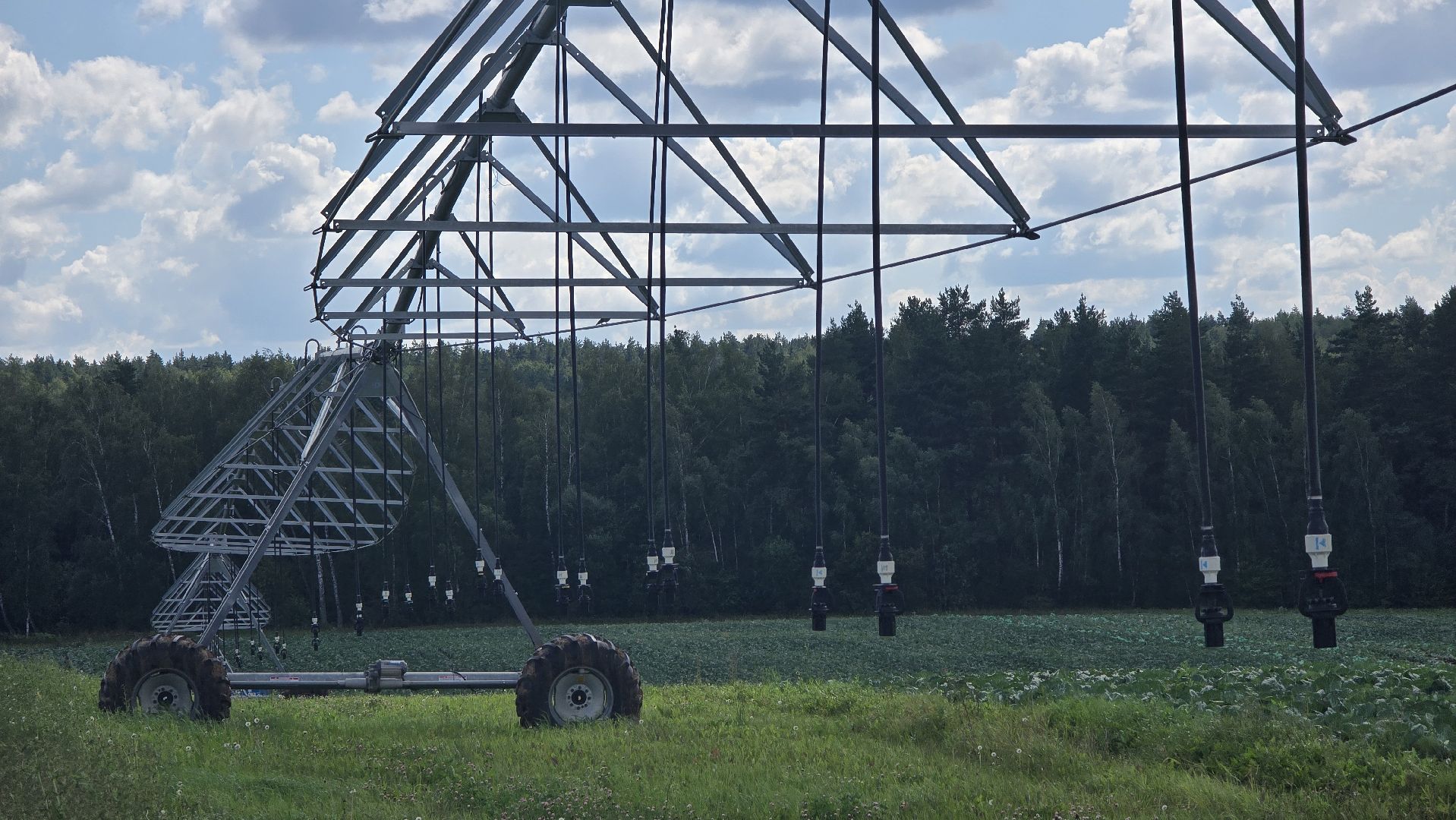 Коломна, Озеры, уборка урожая, агрохолдинг,