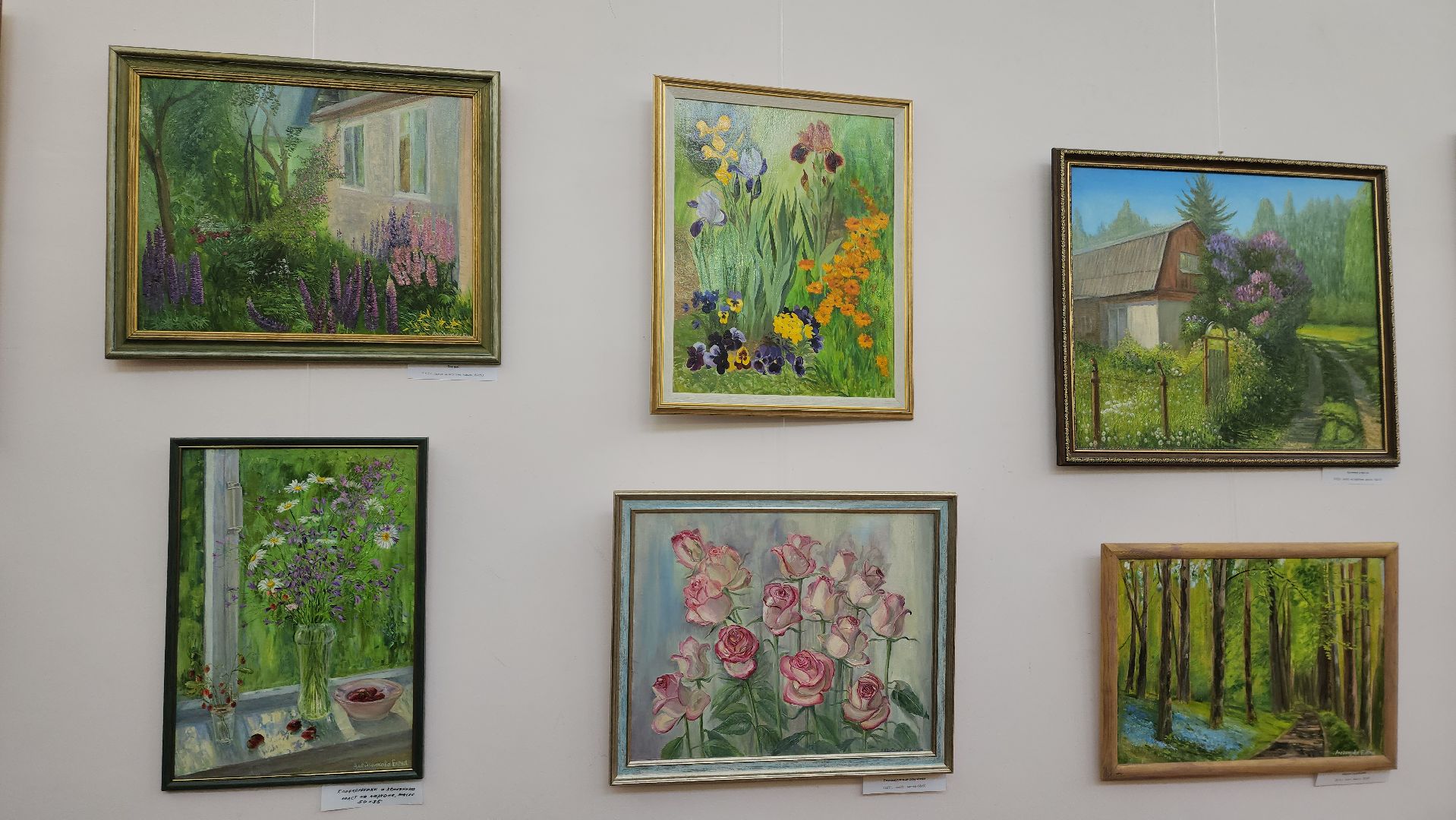 вертикалки, пушкино, художественная выставка, картины, картины маслом, художница, живопись, лето, цветы,