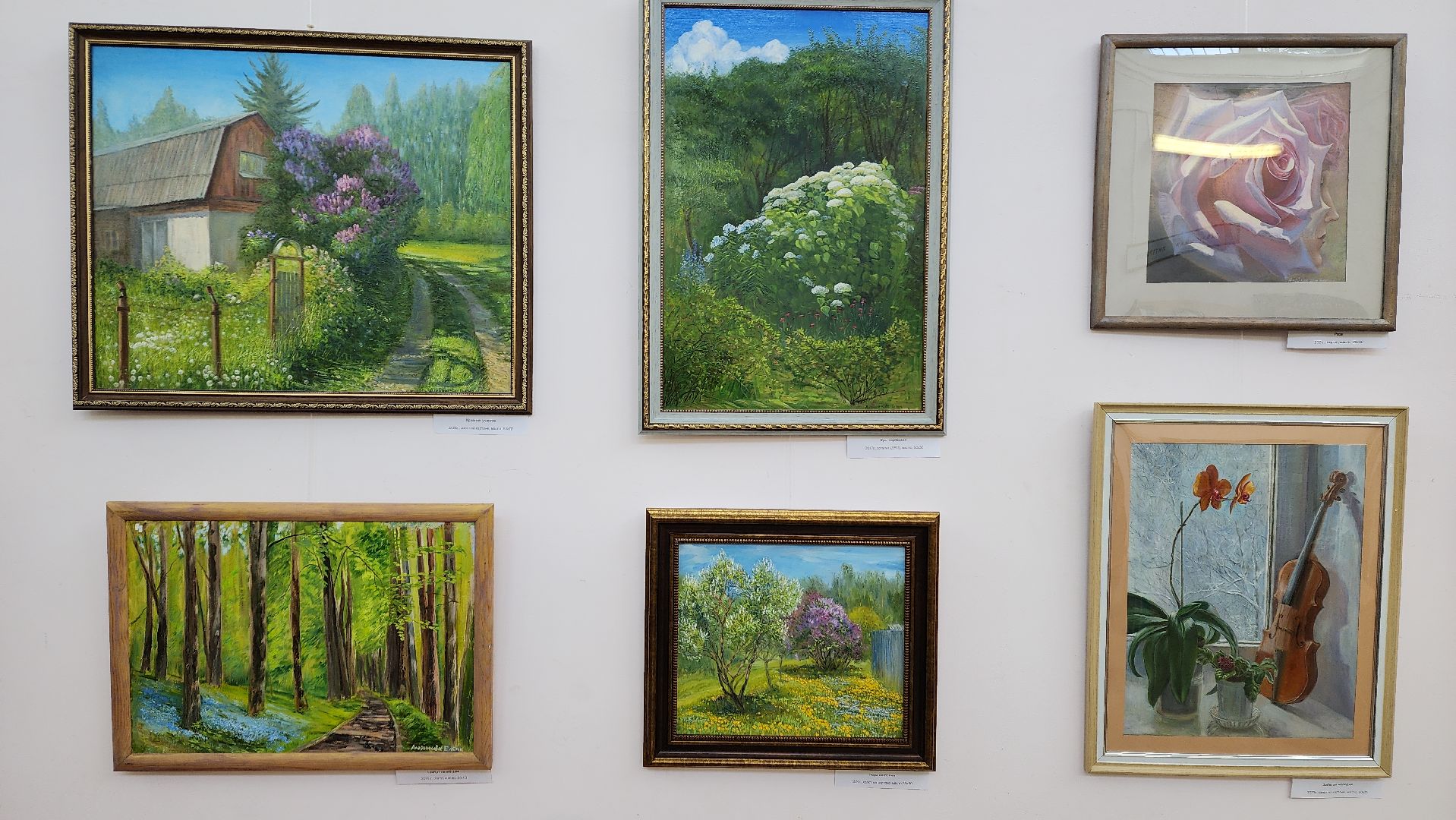 вертикалки, пушкино, художественная выставка, картины, картины маслом, художница, живопись, лето, цветы,