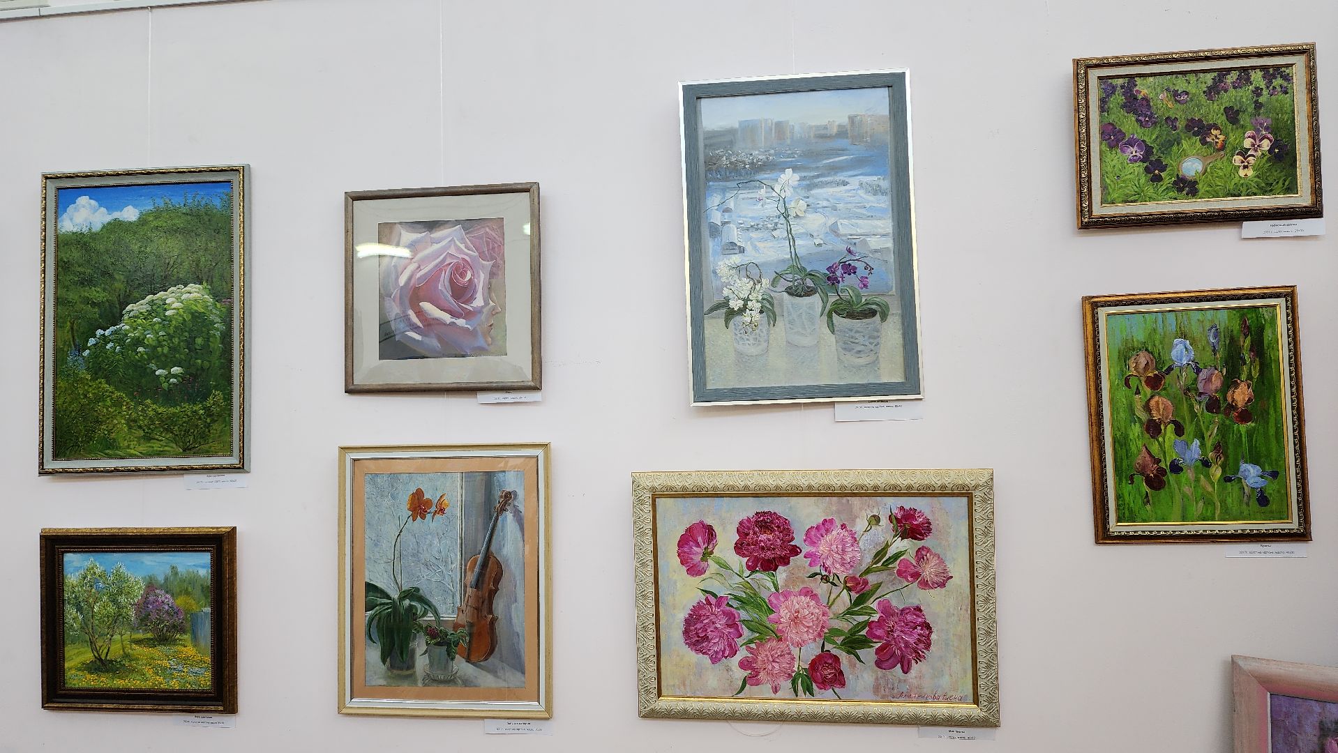 вертикалки, пушкино, художественная выставка, картины, картины маслом, художница, живопись, лето, цветы,
