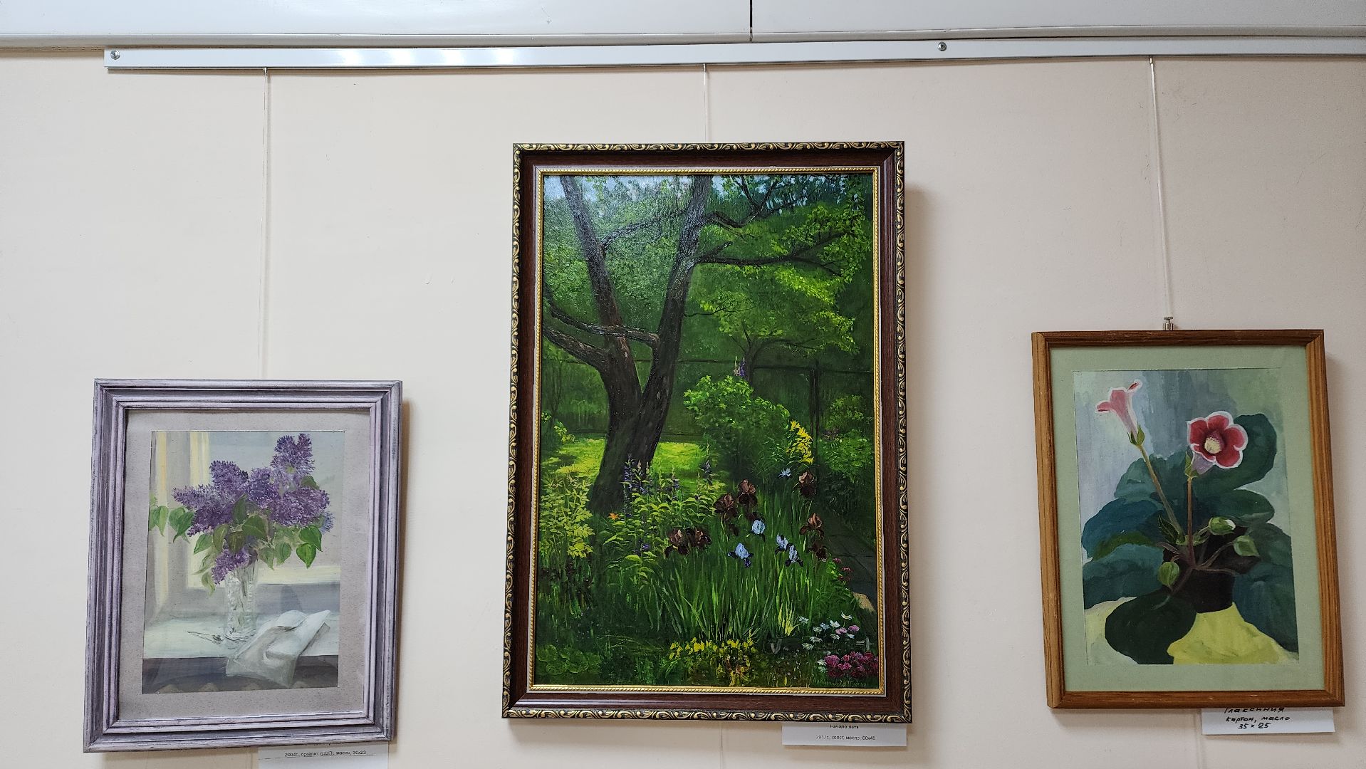 вертикалки, пушкино, художественная выставка, картины, картины маслом, художница, живопись, лето, цветы,