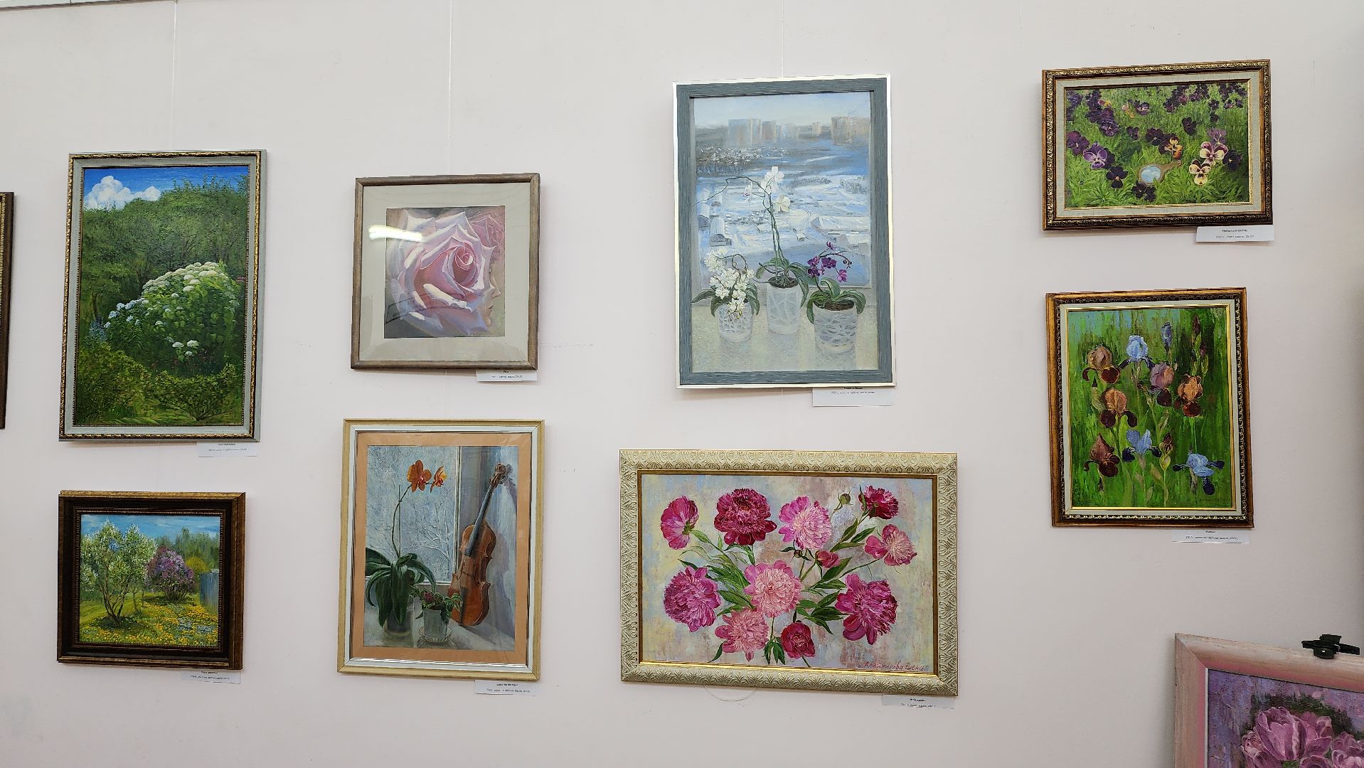 вертикалки, пушкино, художественная выставка, картины, картины маслом, художница, живопись, лето, цветы,