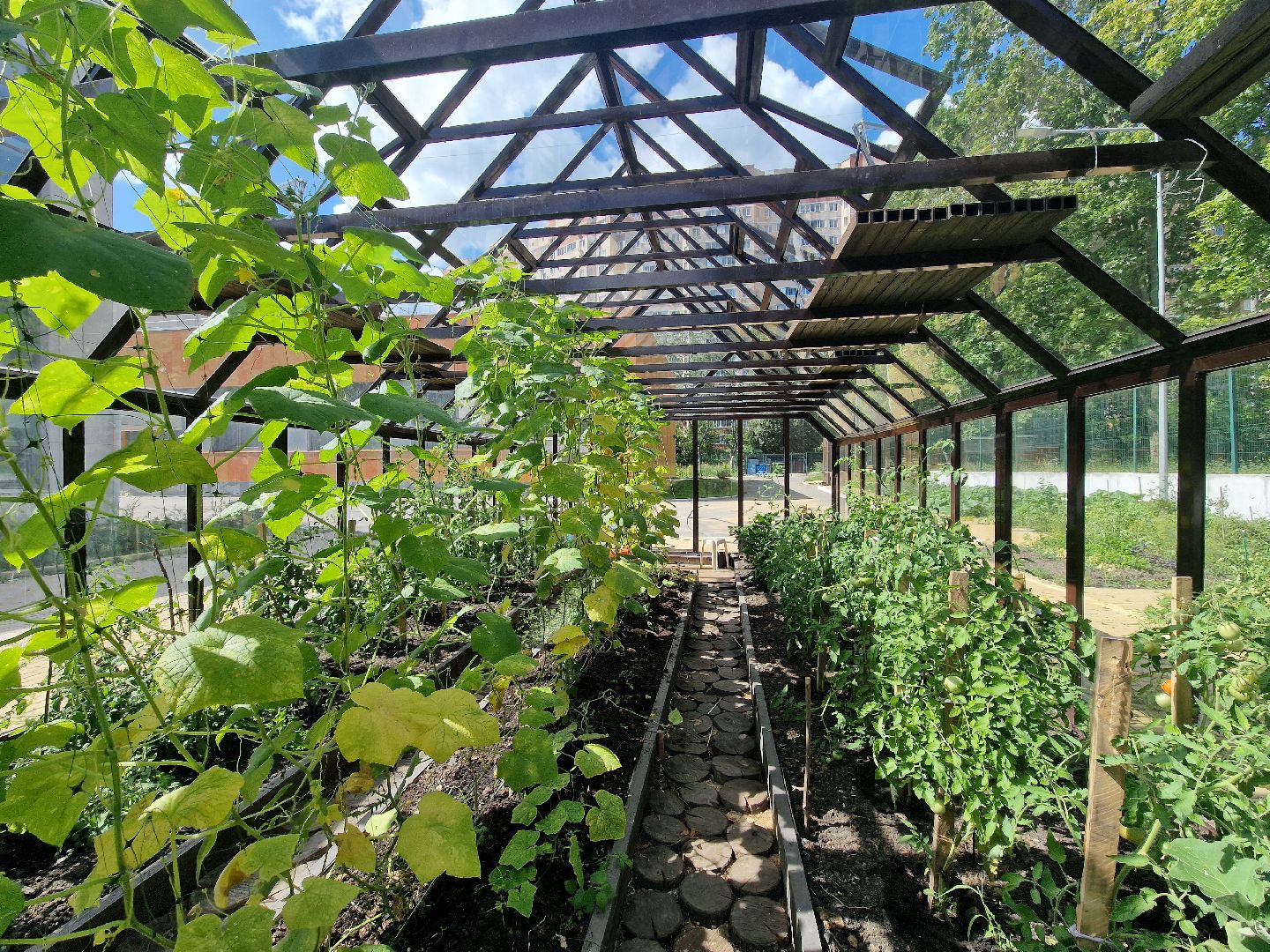 гимназия 1 имени героя рф баландина, балашиха,