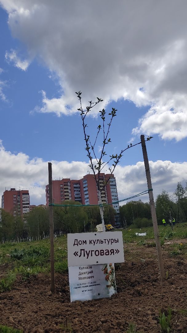 Лобня, культура, песня