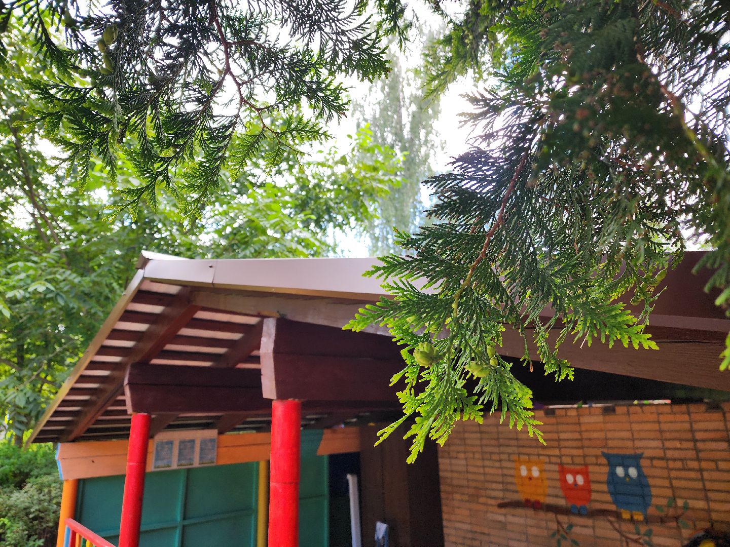 красноармейск, городской округ пушкинский, детский сад, благоустройство детских садов,