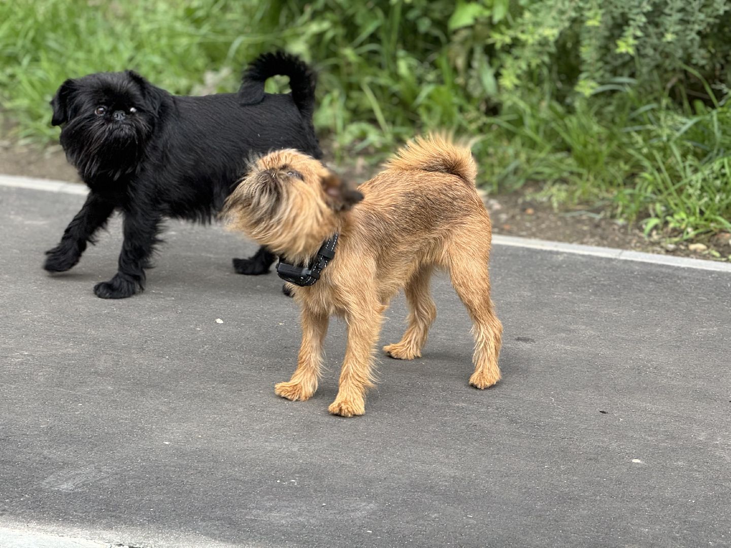 благоустройство, дворовая территория, ленинский городской округ,