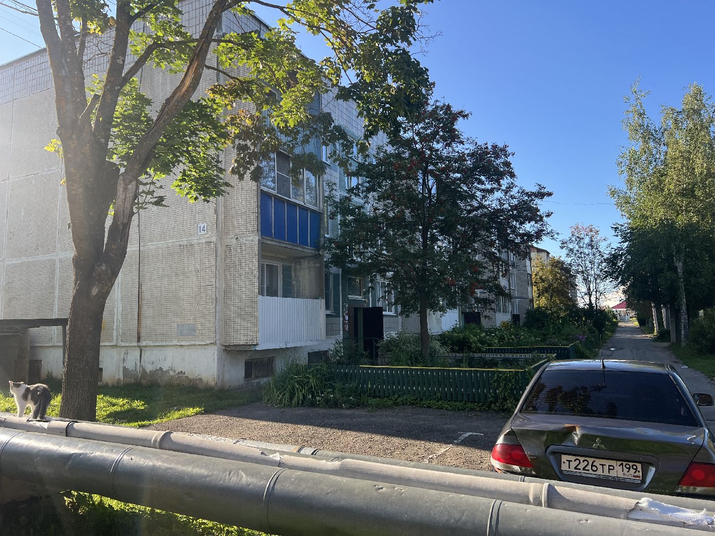 Запрудня, Выездная администрация квашенки, талдомский городской округ,