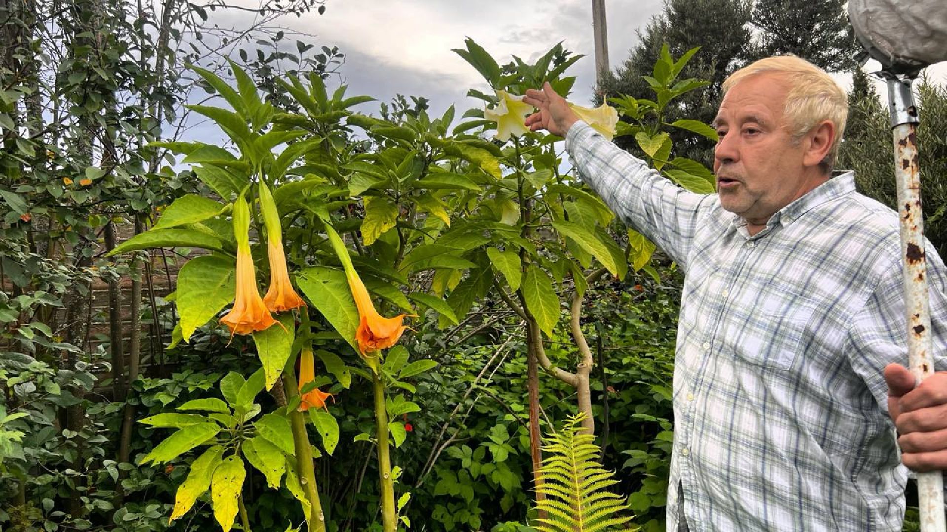 сергиев посад, сергиево-посадский городской округ, мёд, малазийские пчелы , манука, полезная еда, хомяково, пасека, пасечник,