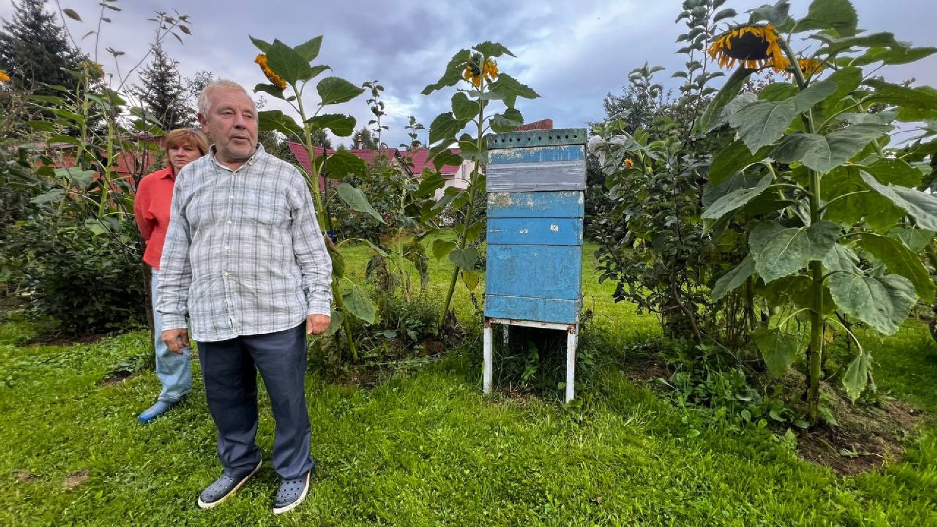 сергиев посад, сергиево-посадский городской округ, мёд, малазийские пчелы , манука, полезная еда, хомяково, пасека, пасечник,